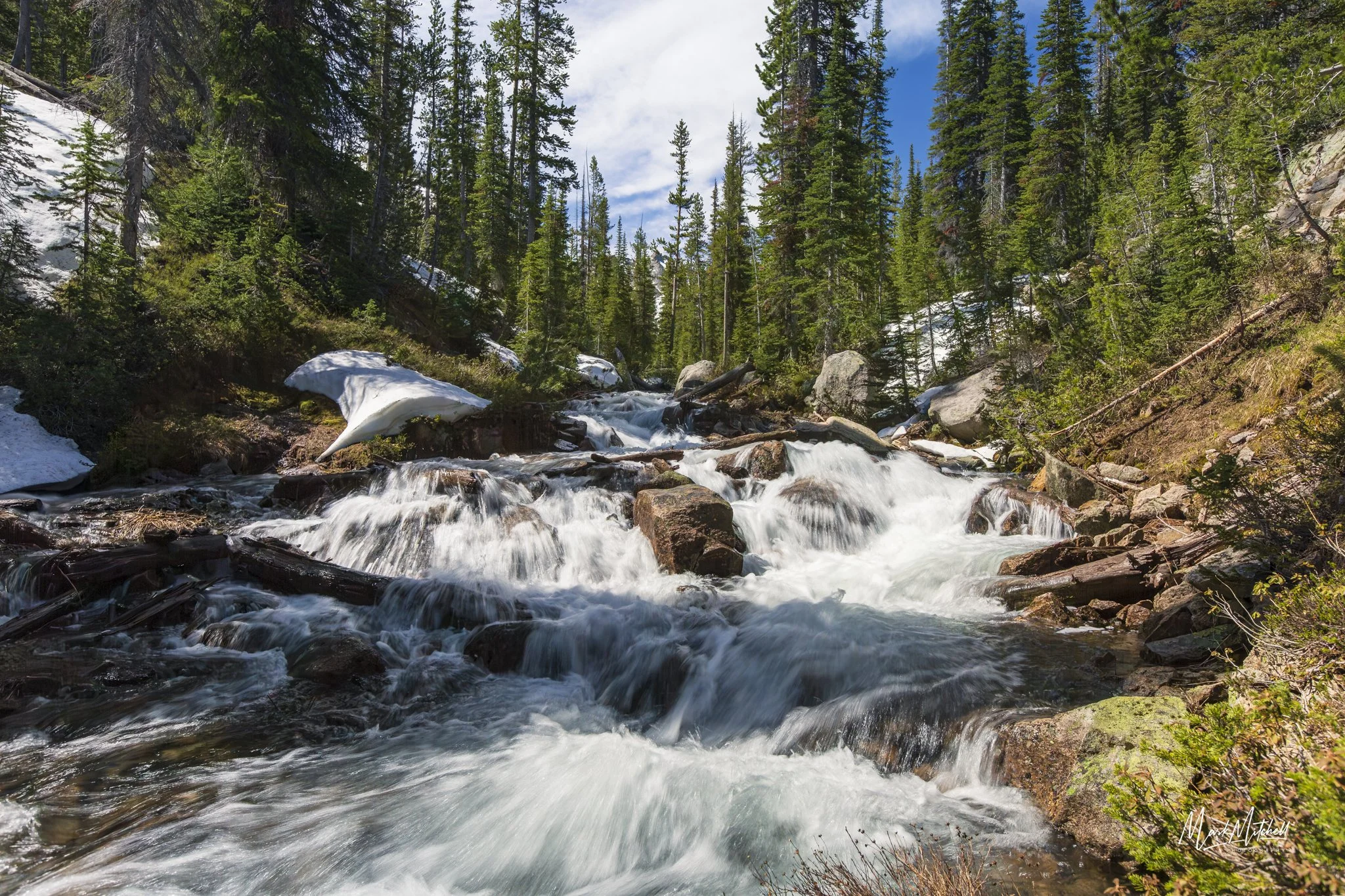Mountain Creek near Imogene Lake.jpg