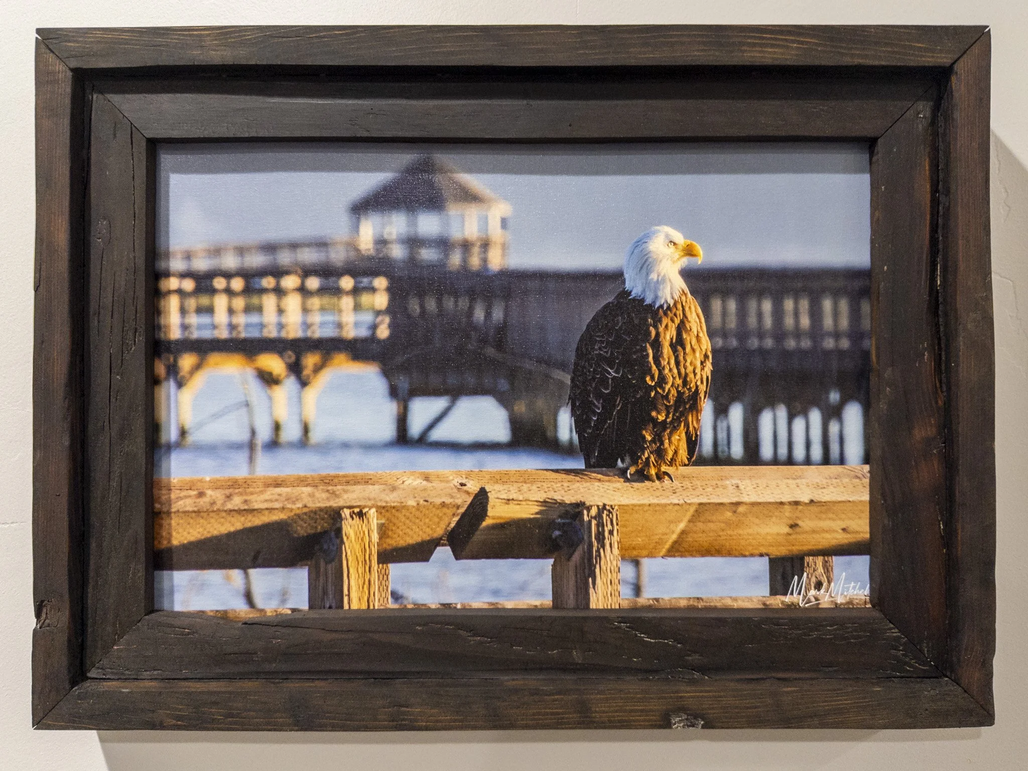 Majesty | Western Washington Landscape Fine Art Print