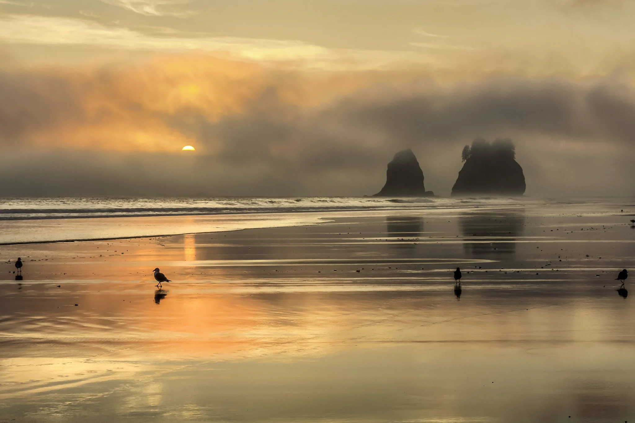 La Push Second Beach Rolling Fog | Western Washington Landscape Fine Art Print