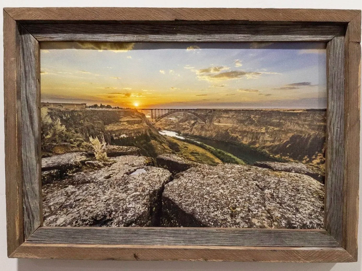 20250802-APC_1898.jpg (Copy)