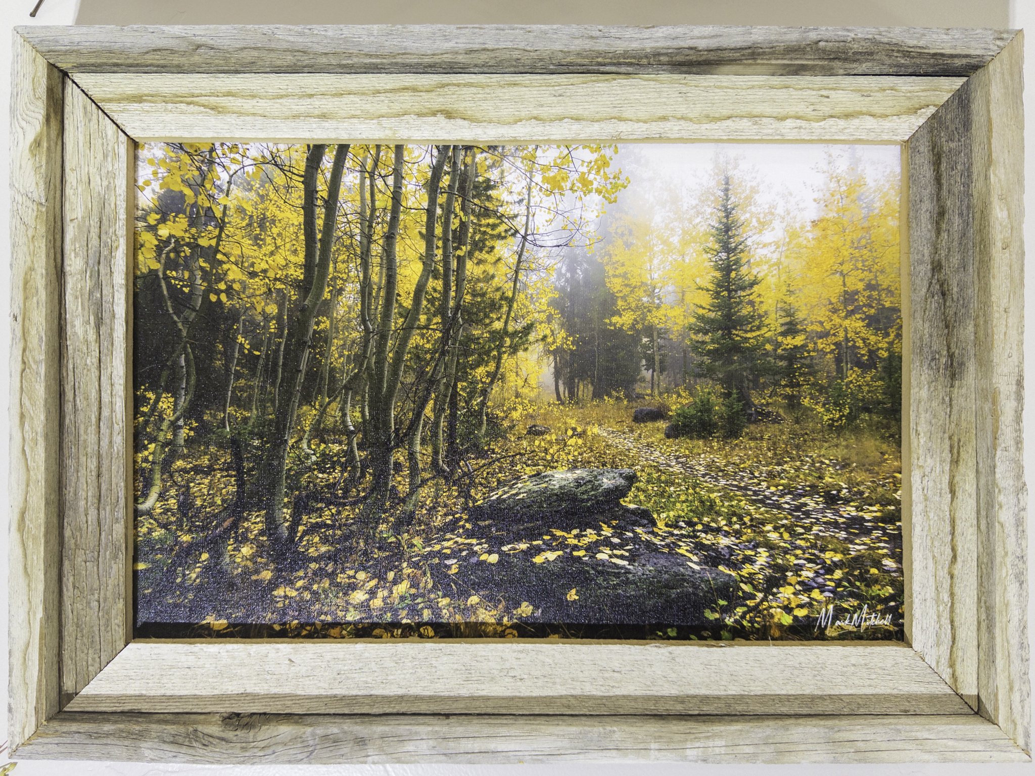 Autumn Gold and Green | Southern Idaho Landscape Fine Art Print