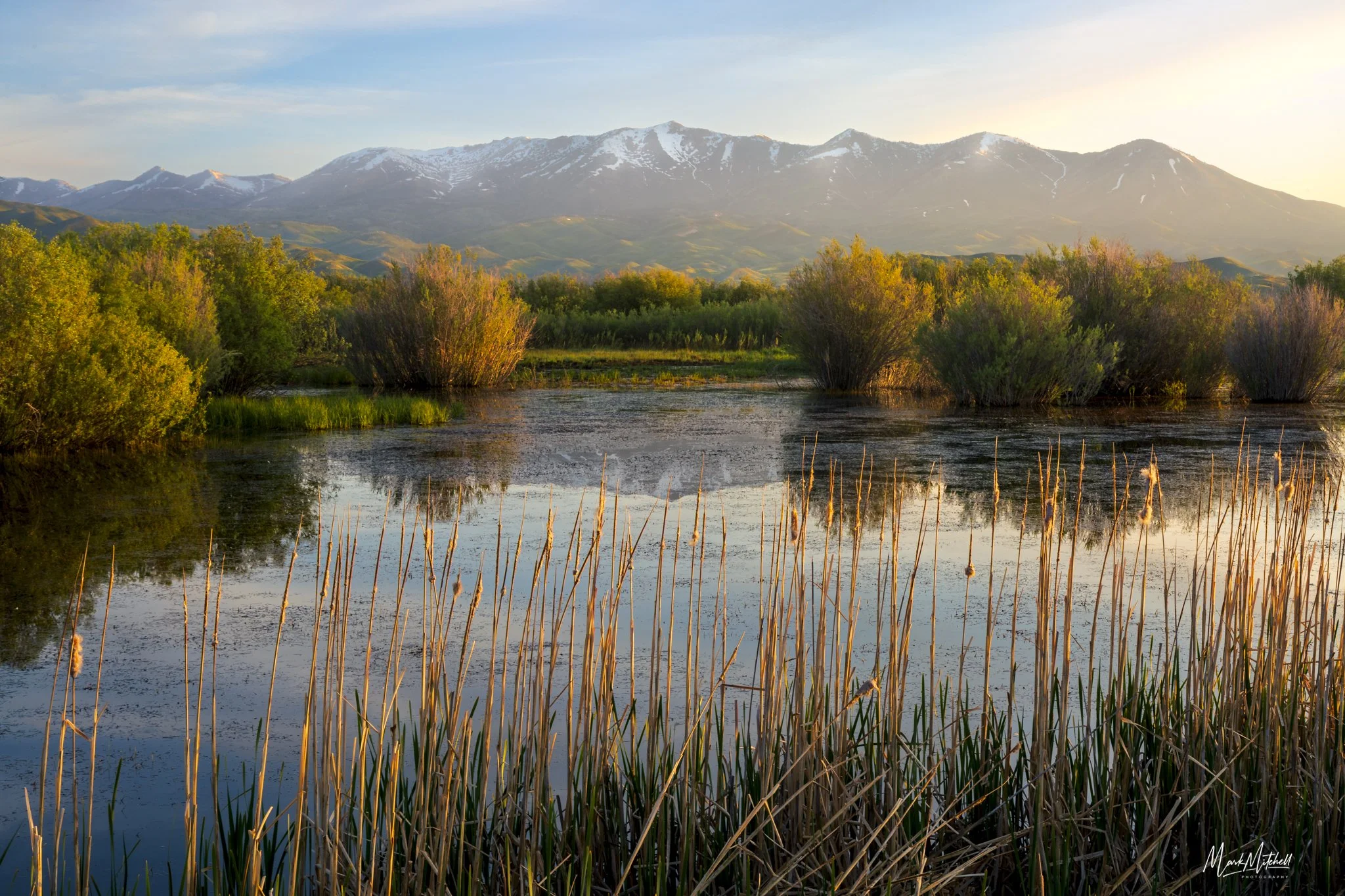 Marsh and Mountains on the Camas Prairie.jpg