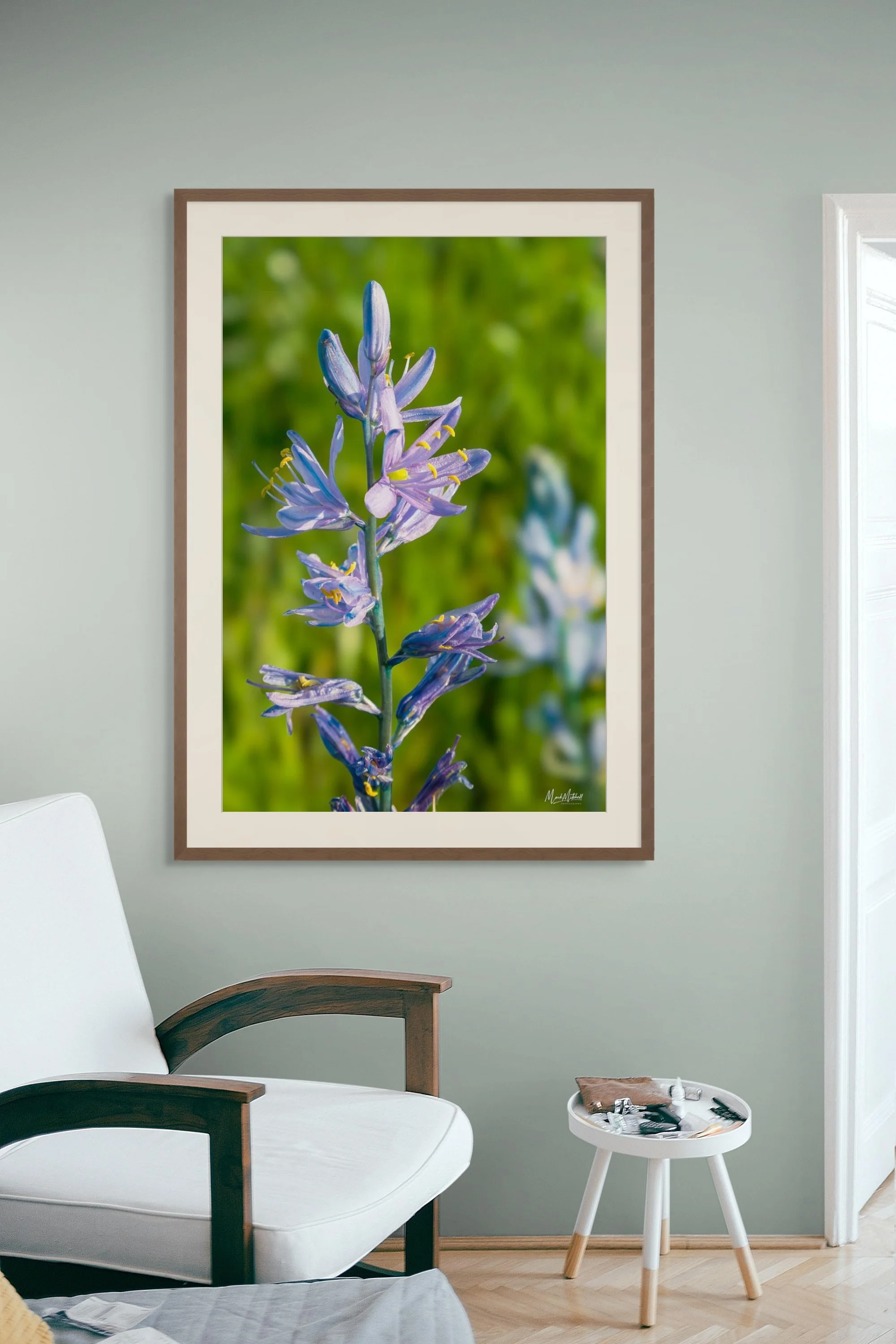 camas_lily_in_bloom (2).jpg