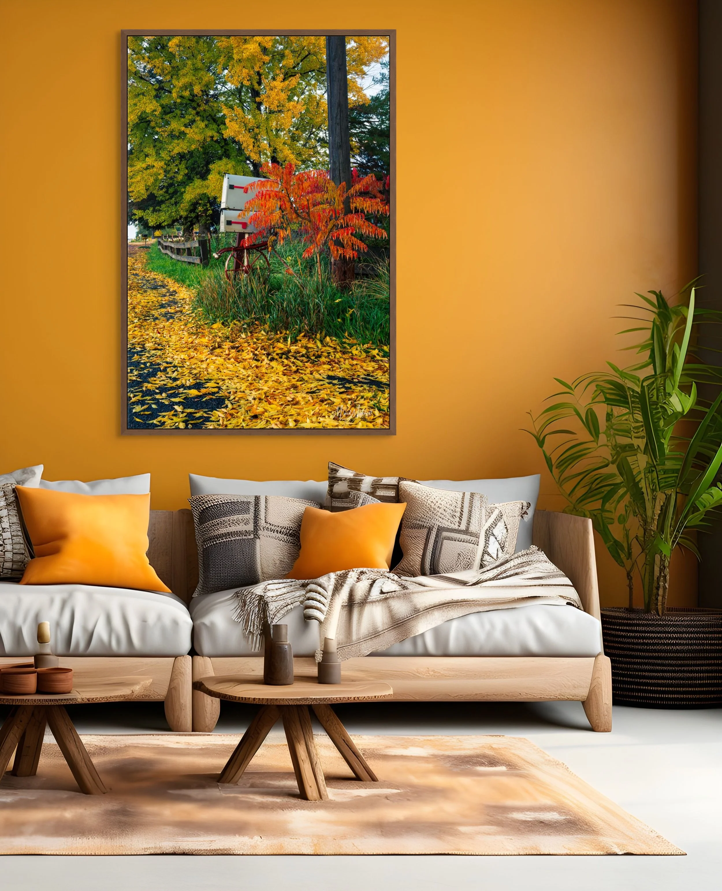 rural street fall colors-full (1).jpg