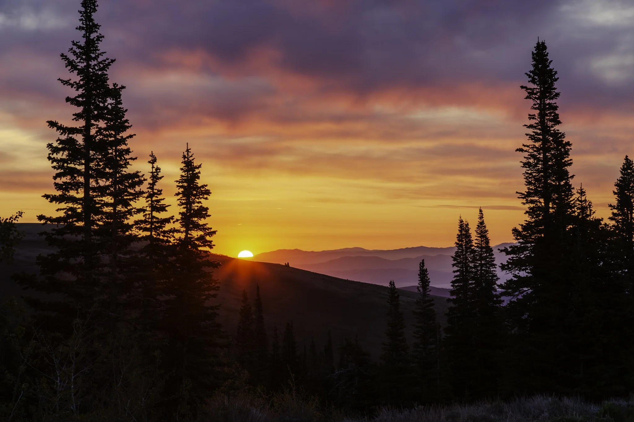 The sun lights the mountain tops with various shades of purples , reds, and oranges as it rises over Mount Harrison in the Albion Range.