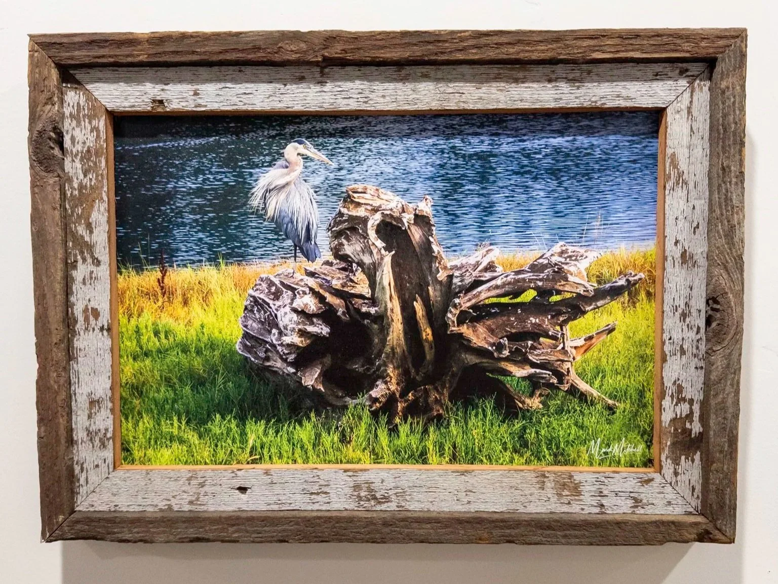 20250820-APC_1962.jpg (Copy)