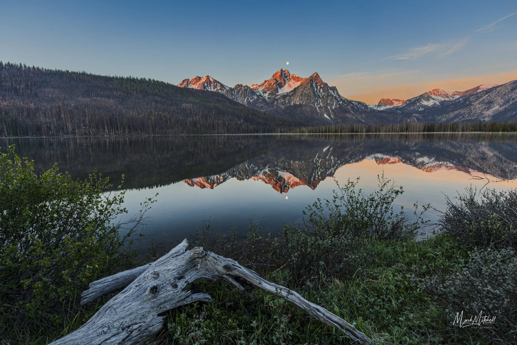 Stanley Lake Shoreline at Dawn | Stanley Idaho