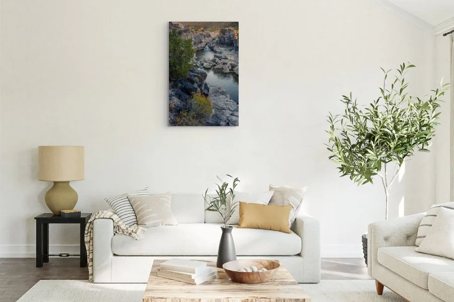golden_rabbit_brush_at_cauldron_linn_1_jpg (1).jpg