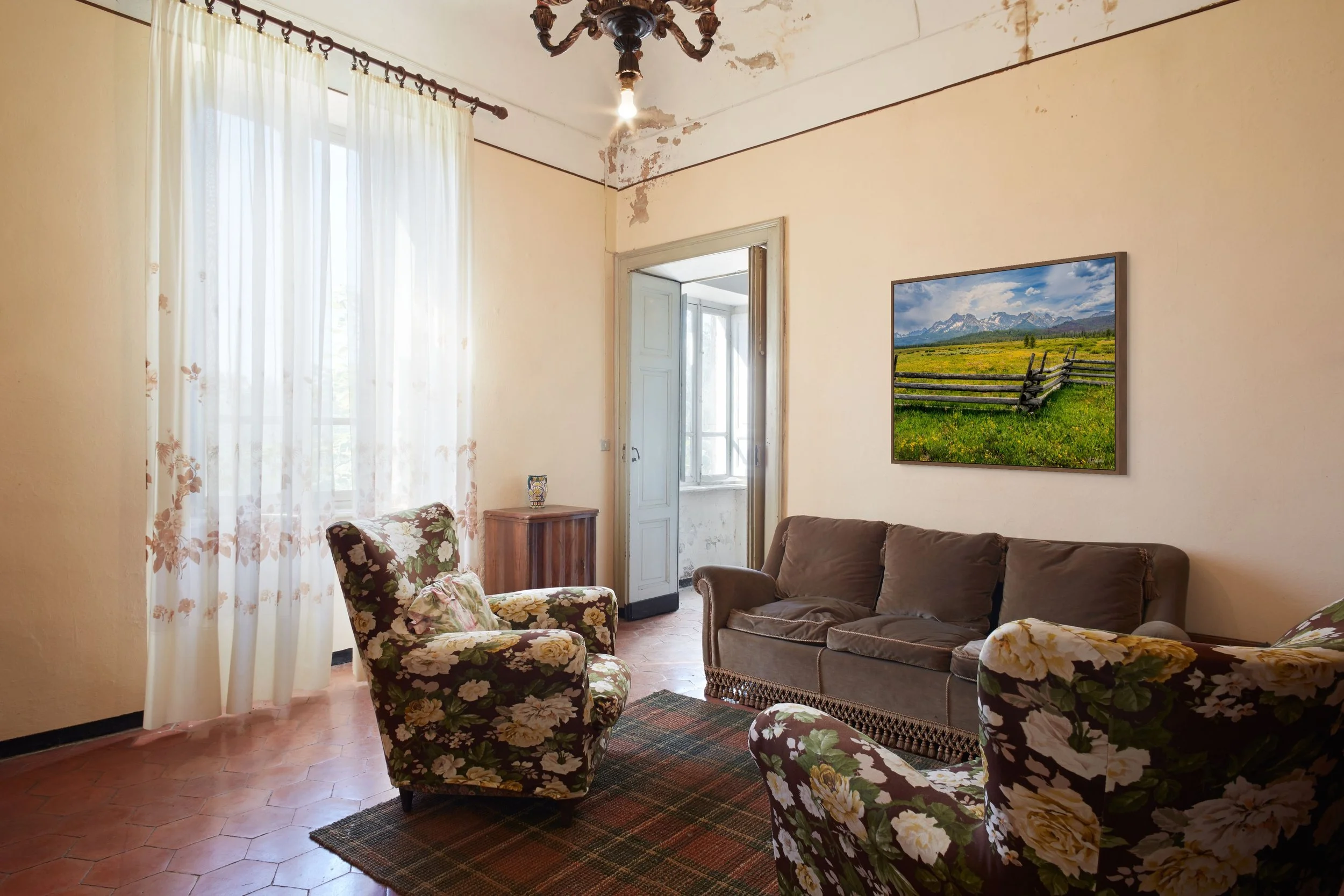 yellow wildflowers in stanley-full.jpg