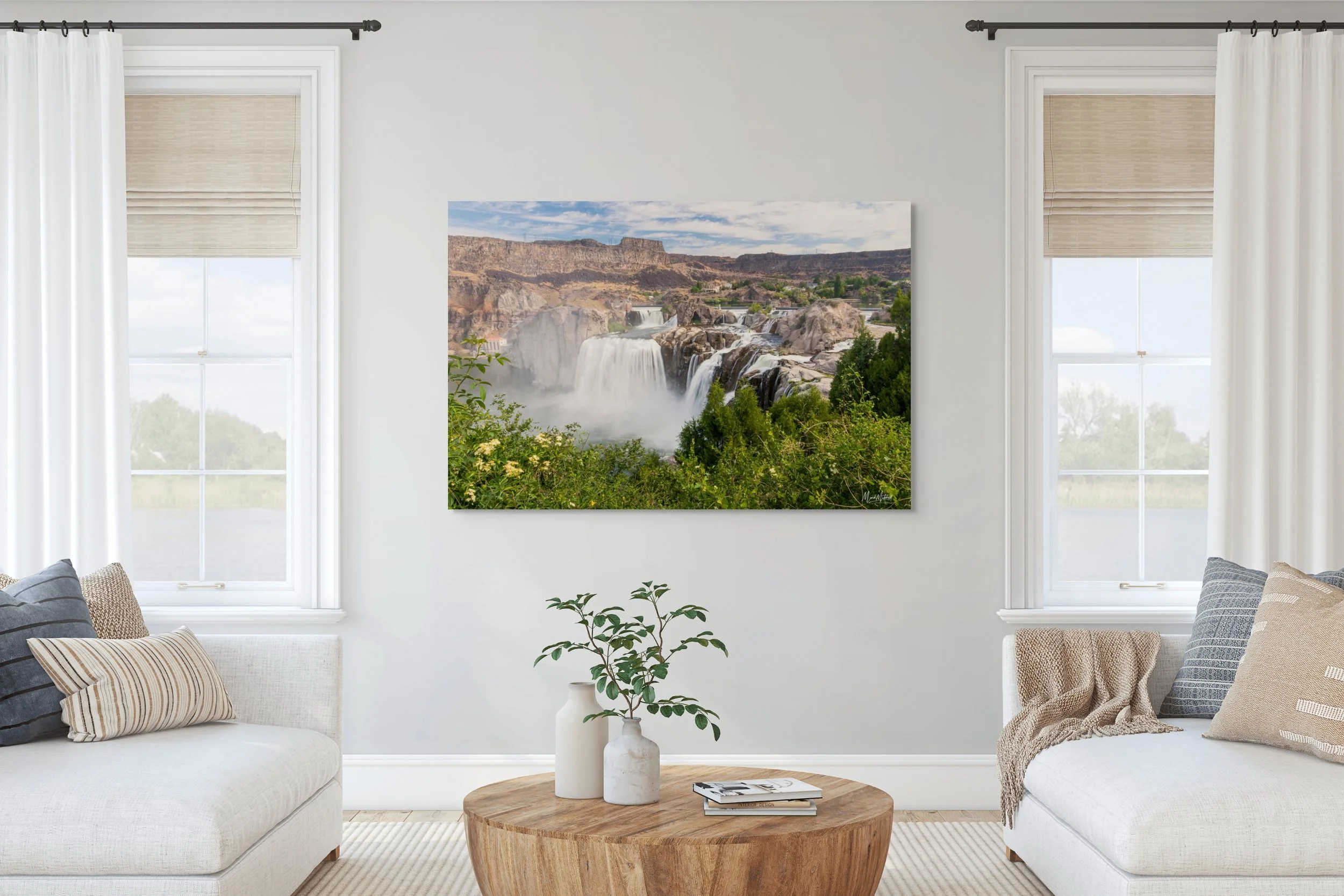 shoshone_falls_in_june (1).jpg