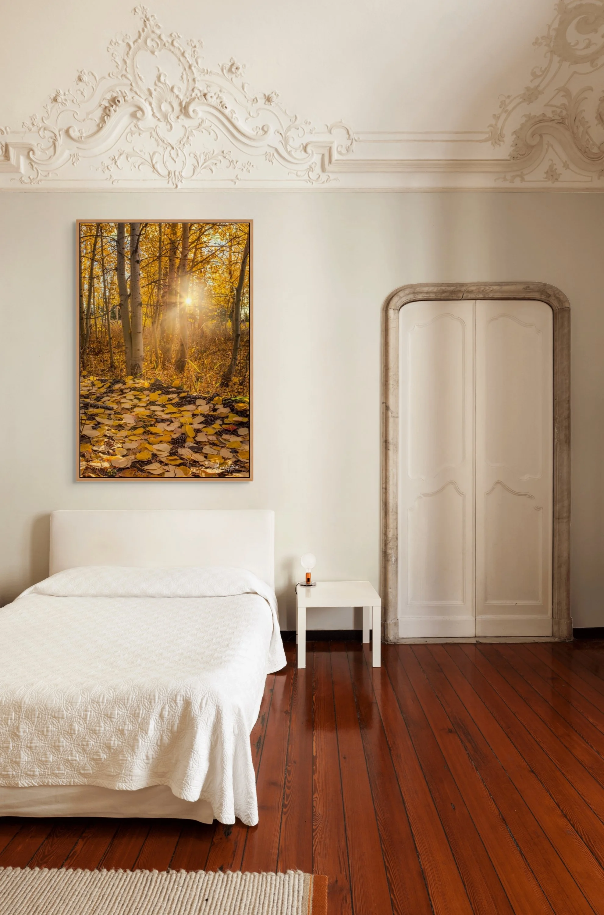 sunlight through the aspen grove-full (1).jpg