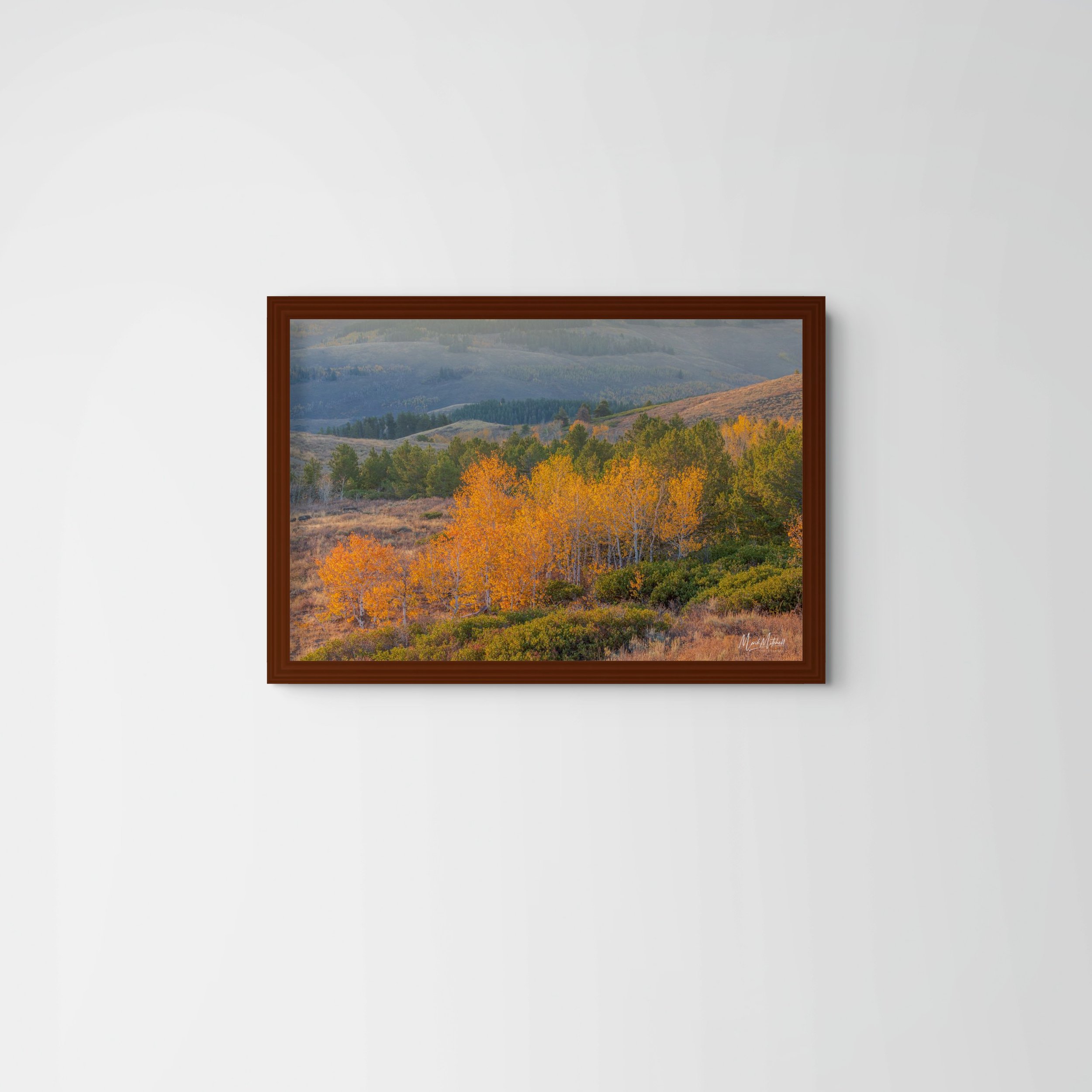 Pines and Aspens in the South Hills_2-full.jpg