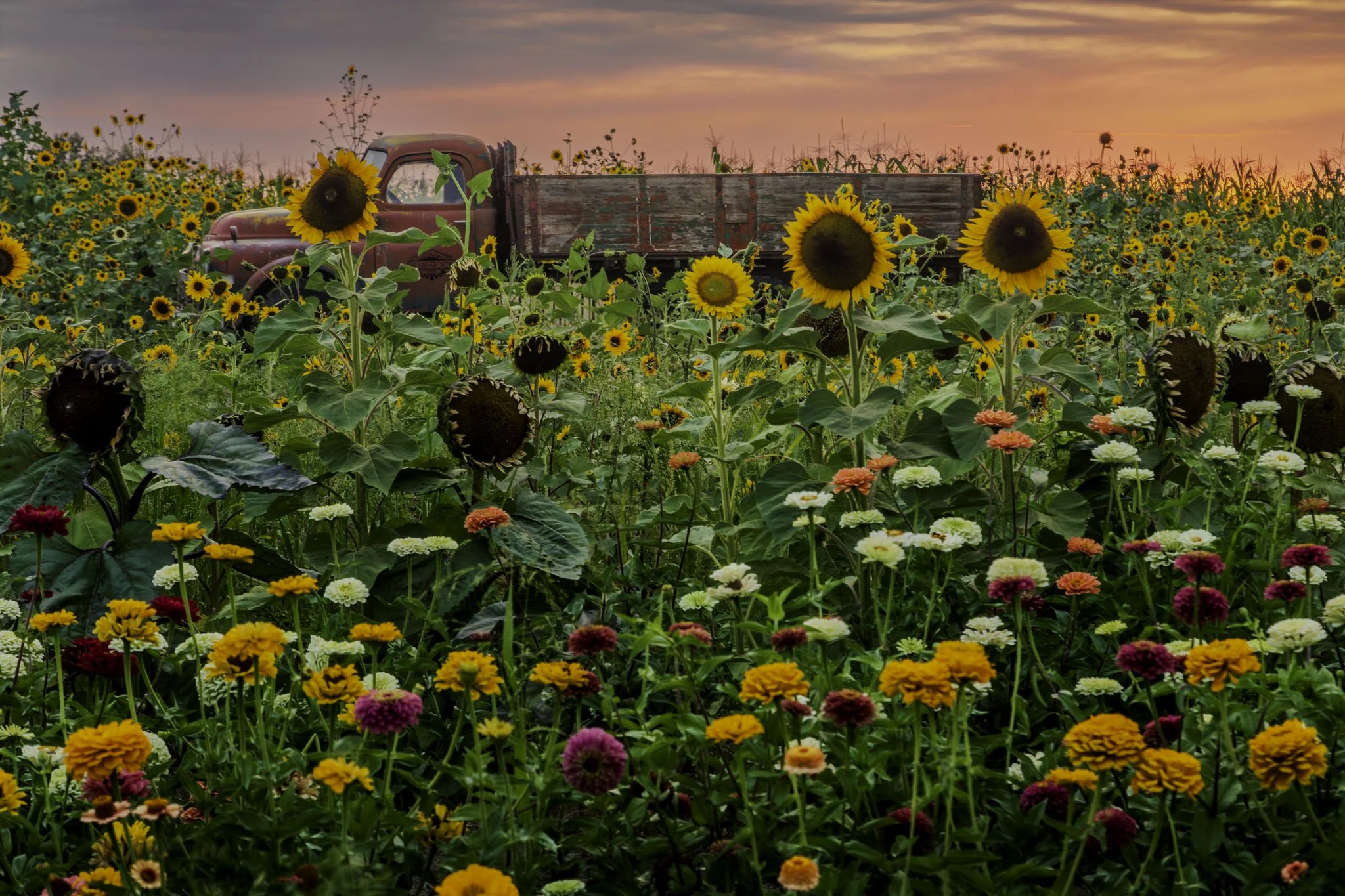 20250818-_Q9A6746-HDR.jpg