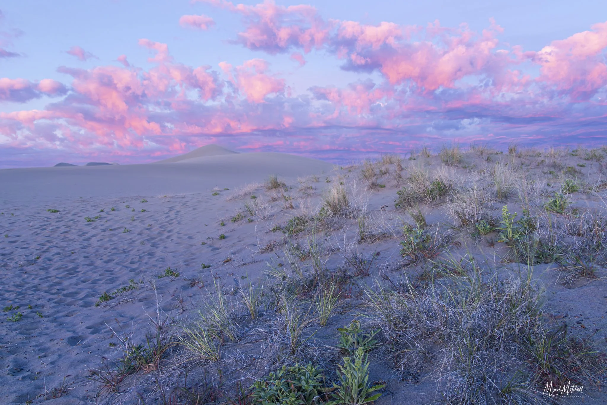 Pink Sunrise at Bruneau Dunes