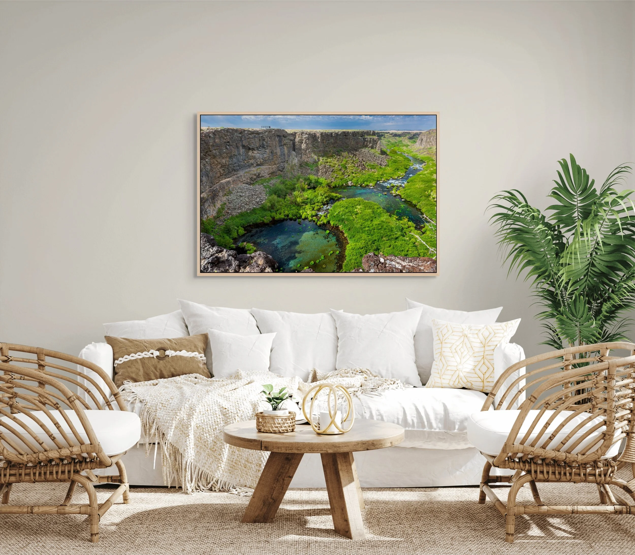 box canyon springs in june-full (2).jpg