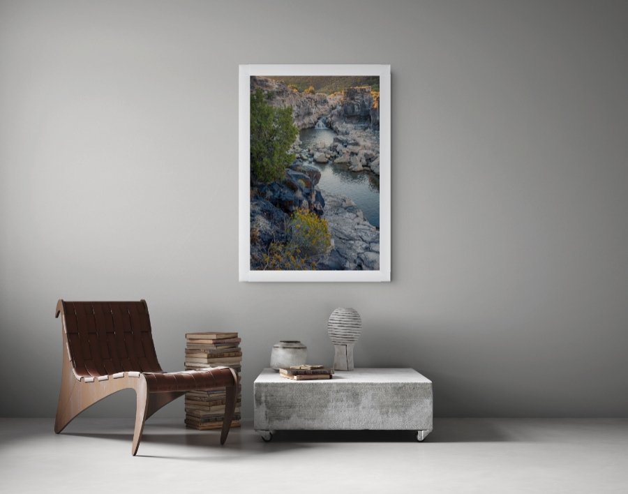 golden_rabbit_brush_at_cauldron_linn_1_jpg.jpg