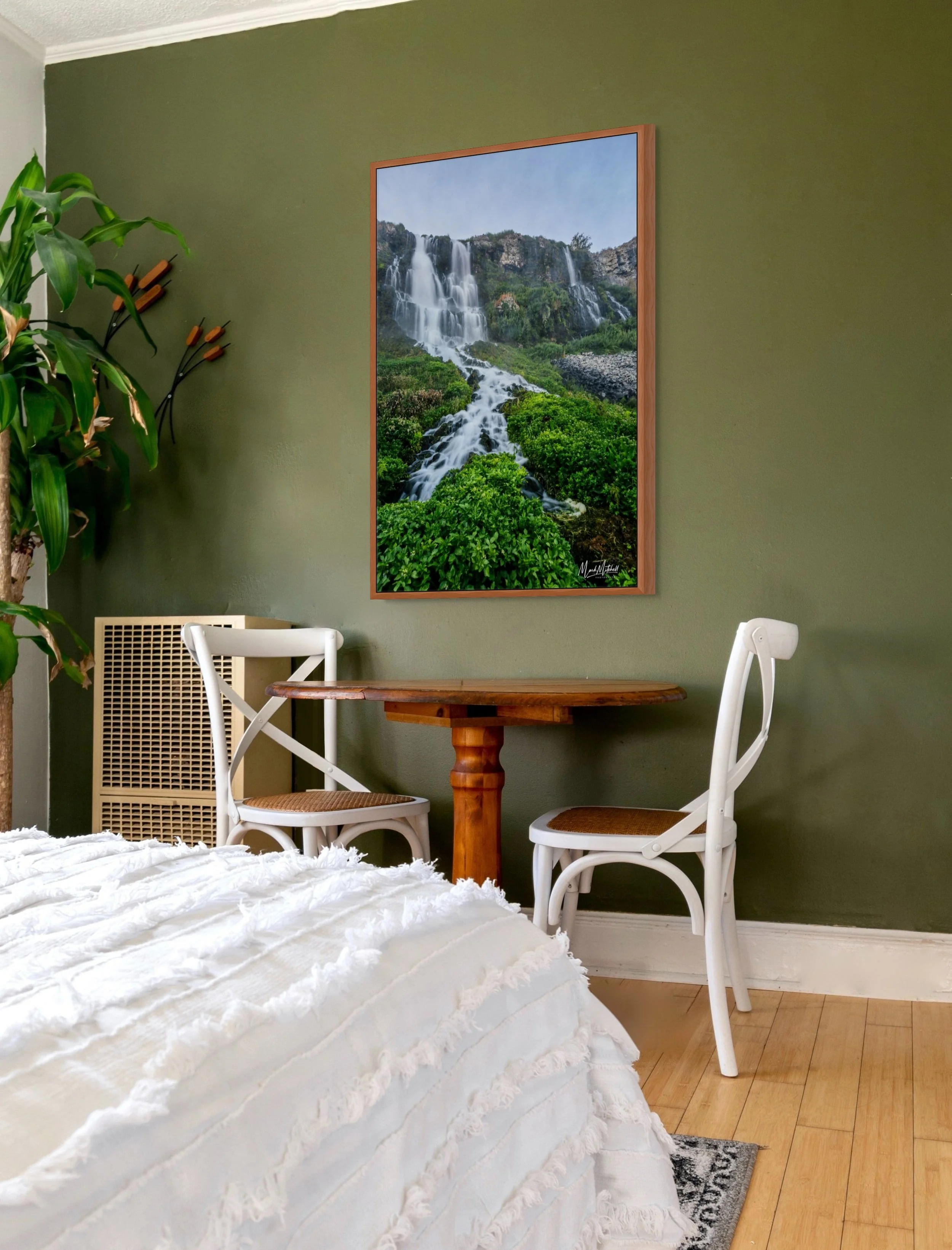 lemmon_falls_with_morning_mists (1).jpg