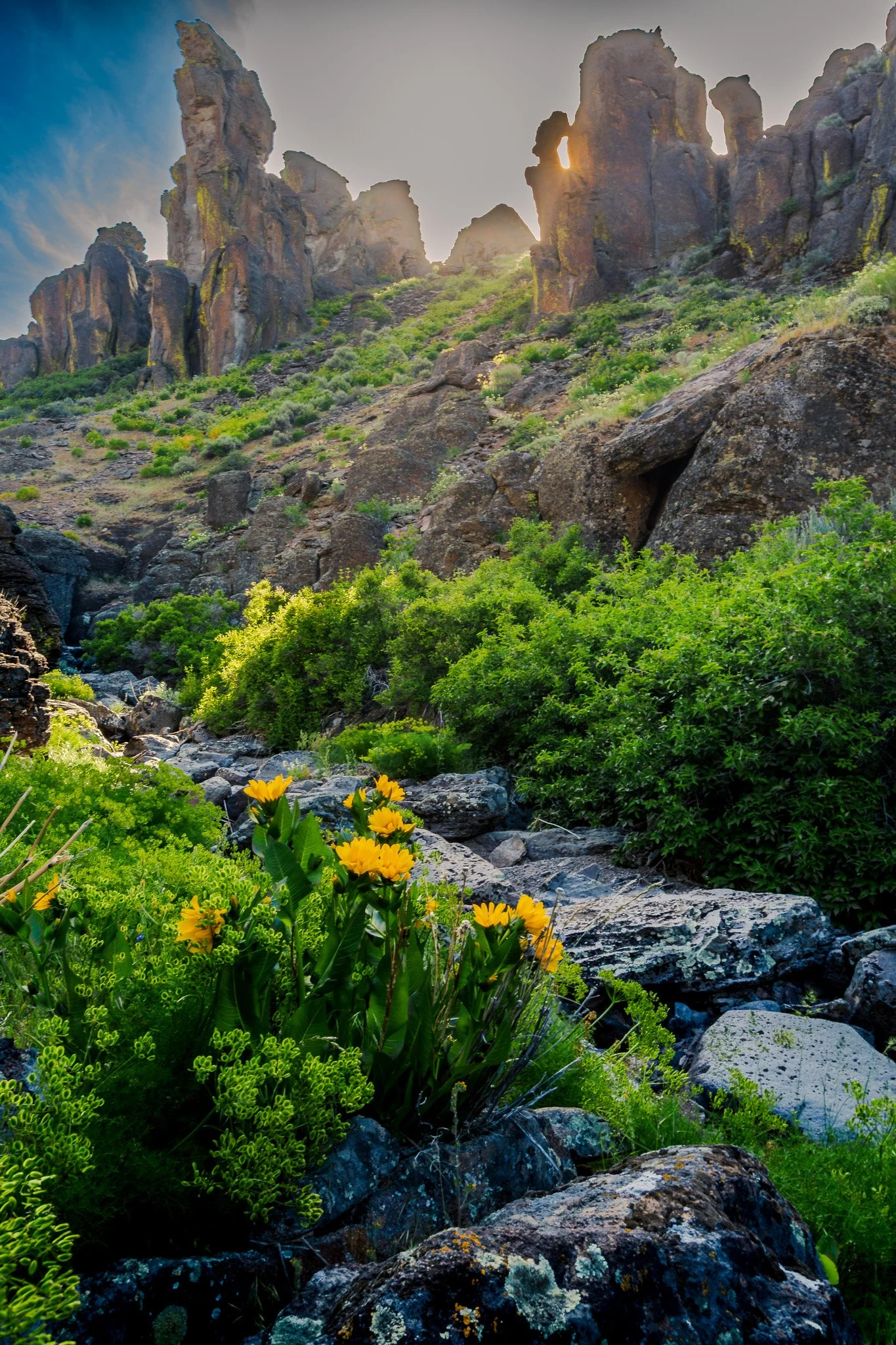 _Q9A0283-2.jpg (Copy)