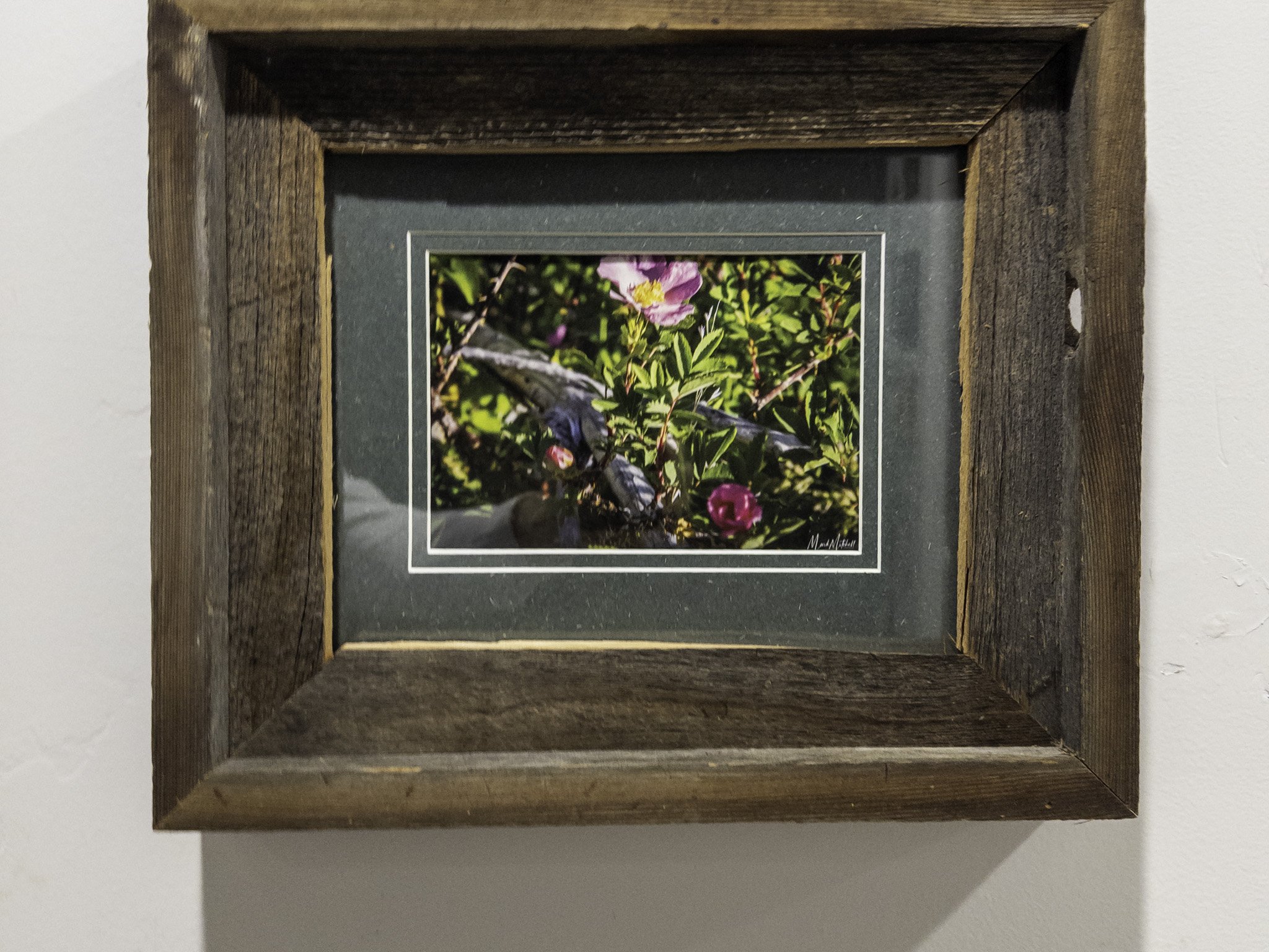 20250907-APC_1993.jpg (Copy)