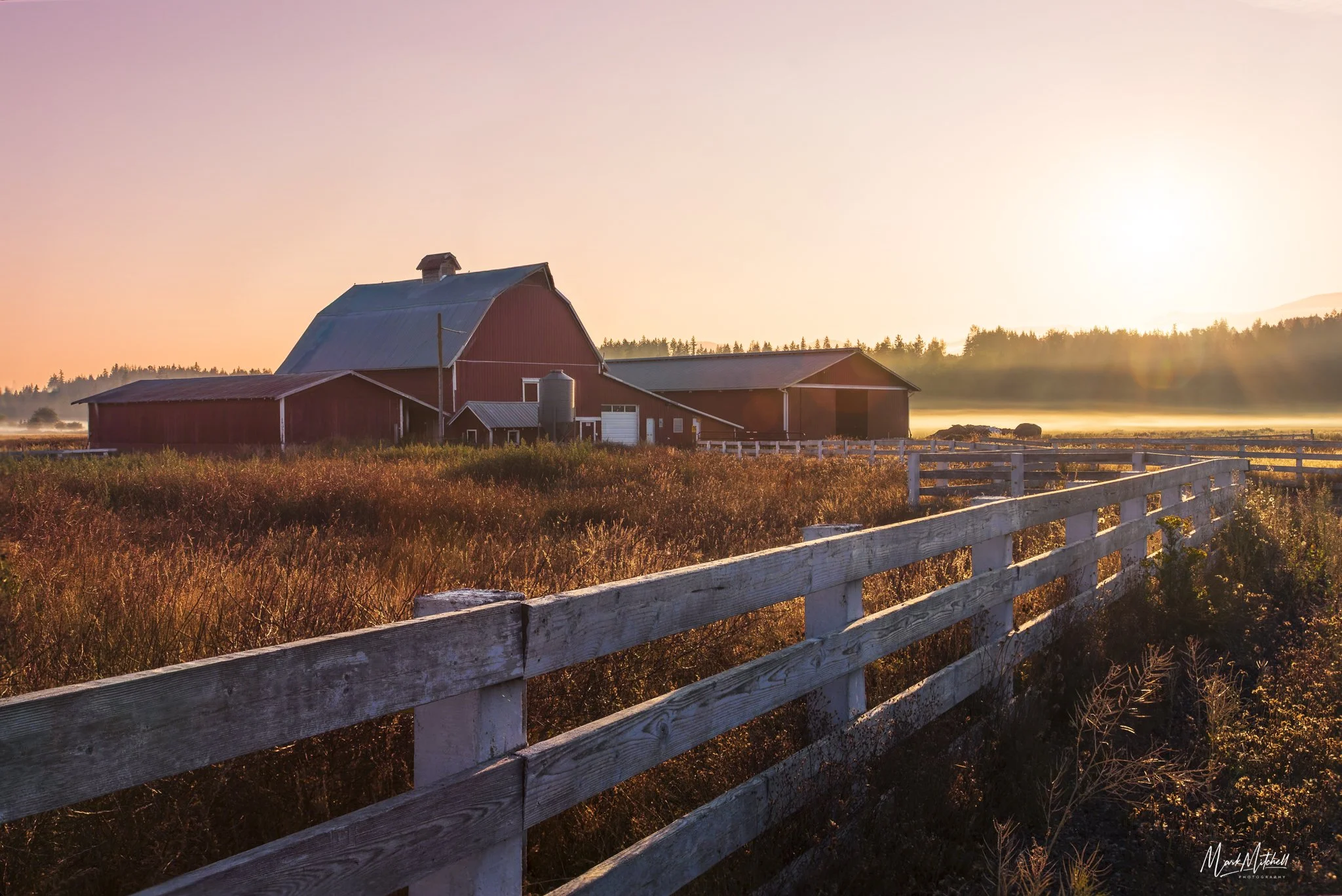 Farm Sunrise | Enumclaw, Washington