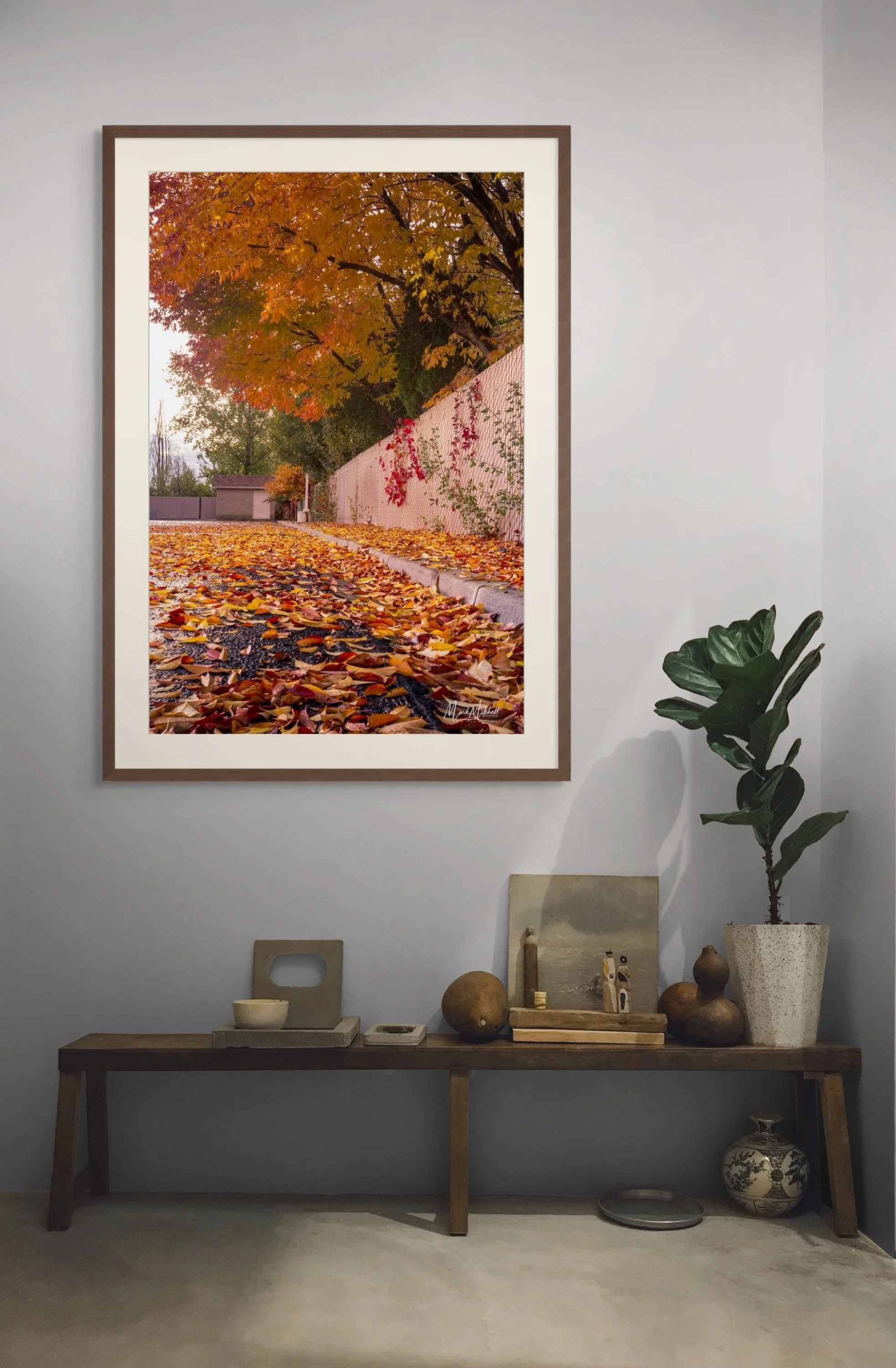 rainy neighborhood fall leaves-full (1).jpg