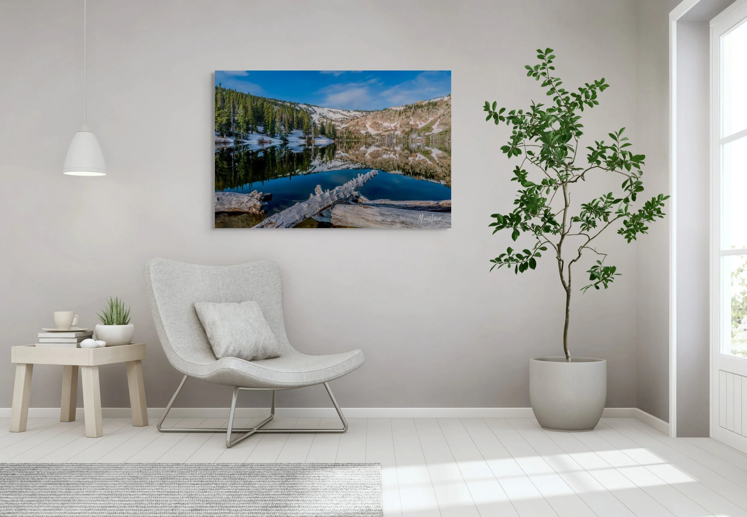 lake cleveland reflection-full (4).jpg