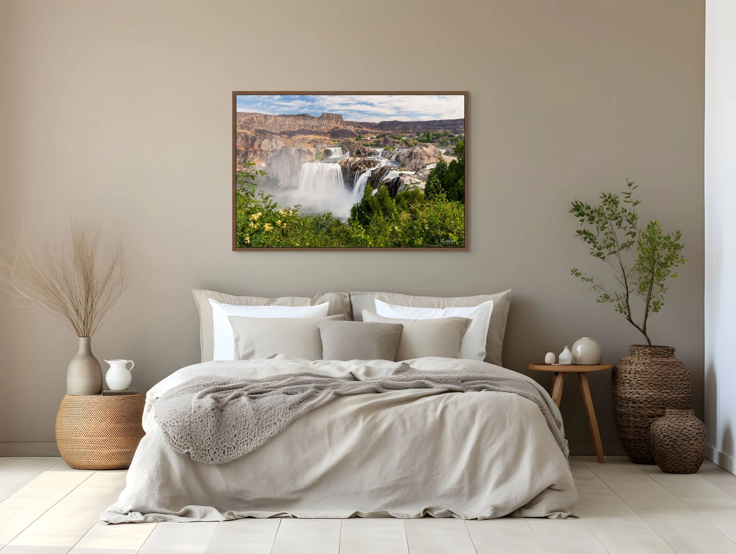 shoshone_falls_in_june (3).jpg