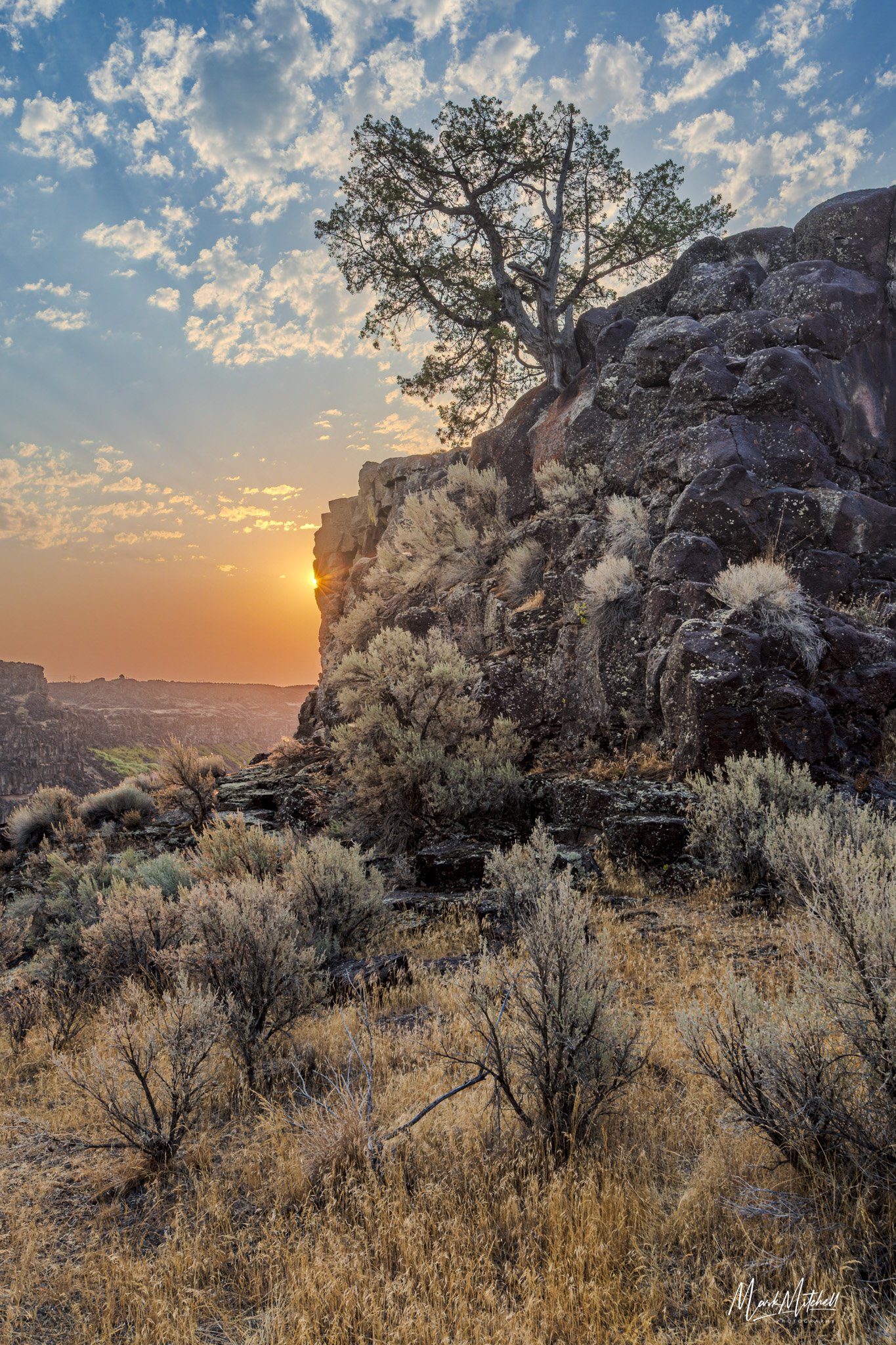 _Q9A1488-HDR.jpg