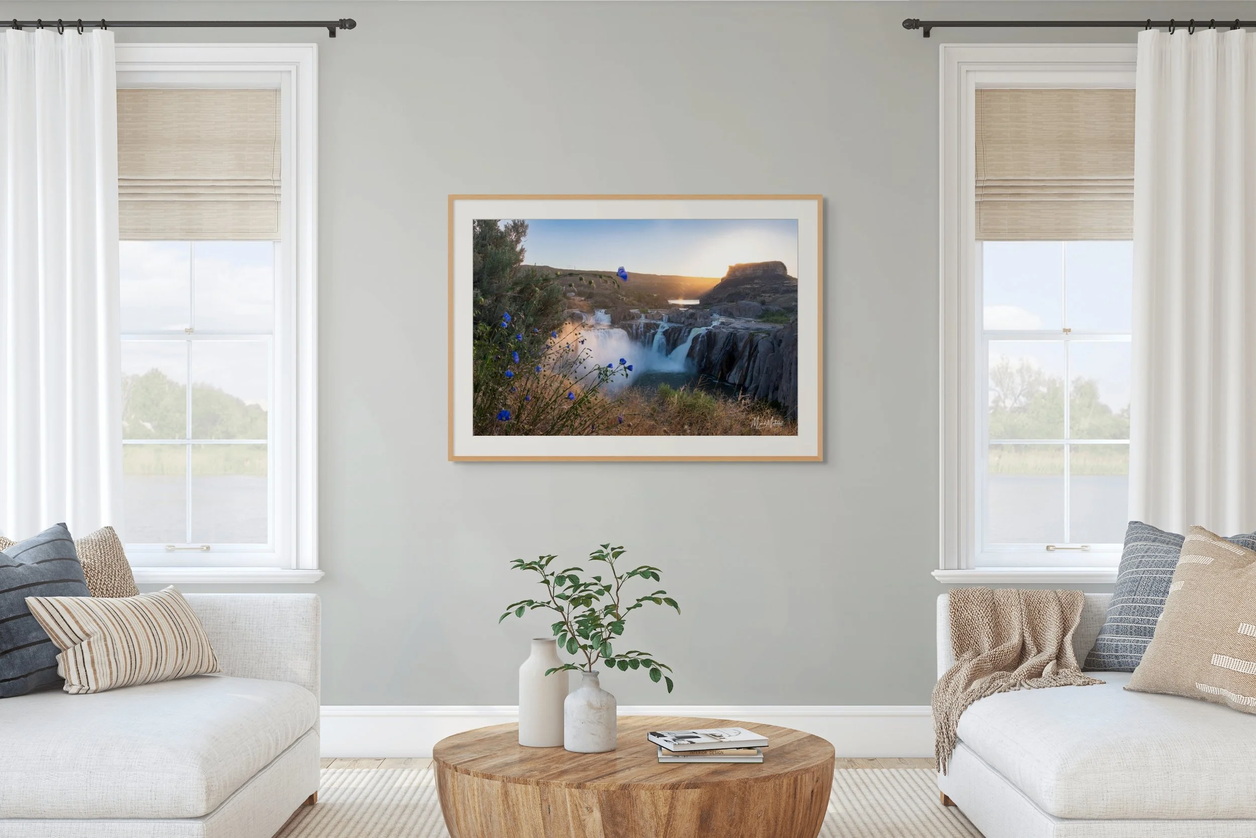 blue flax at shoshone falls-full.jpg