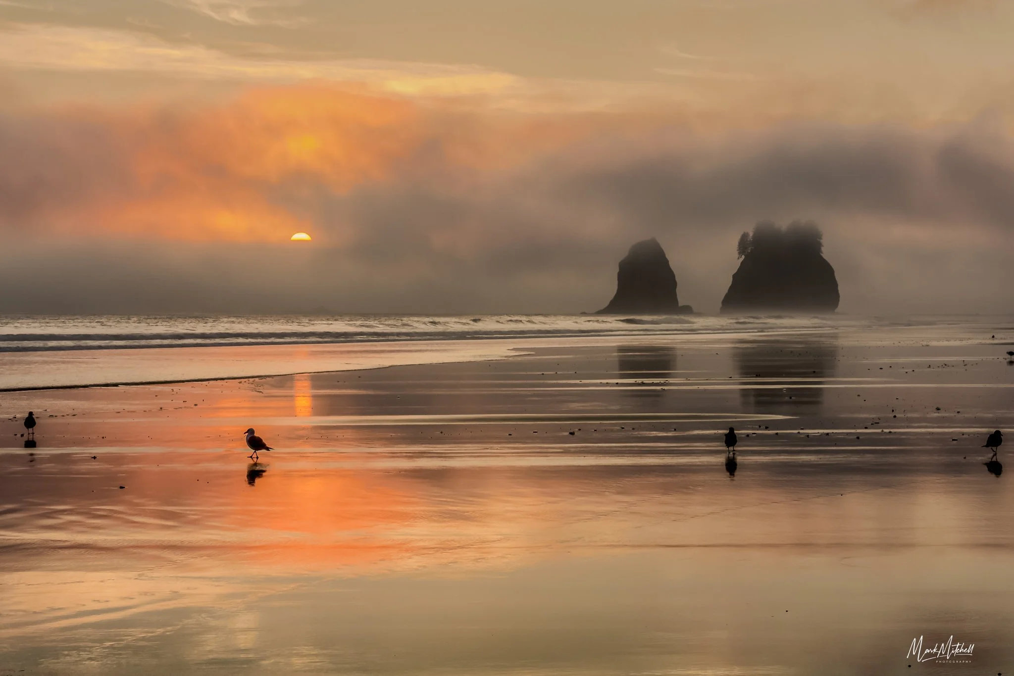 La Push Second Beach Rolling Fog | LaPush 2nd Beach, Washington