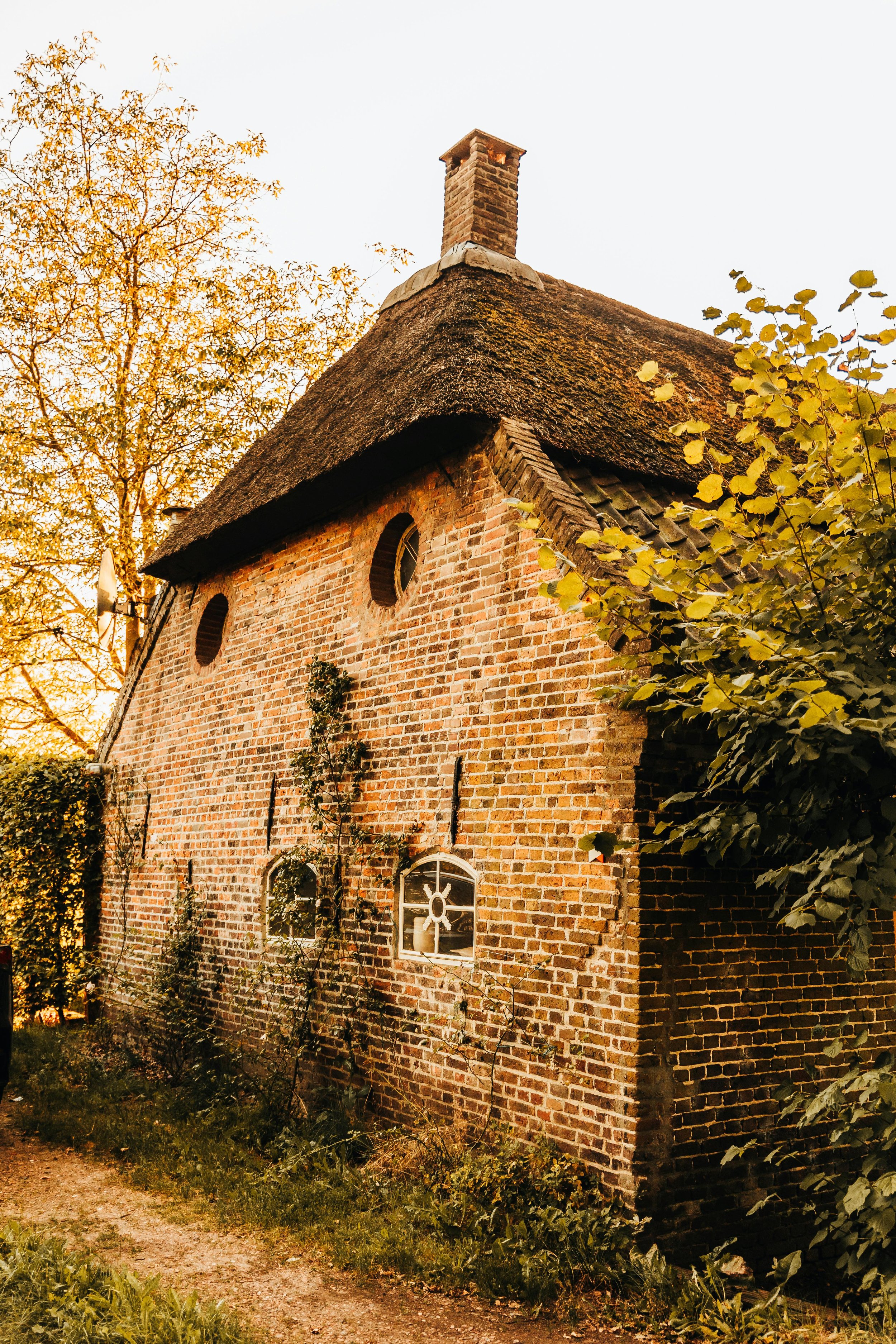 A brick house with a thatched roof and small round windows, surrounded by trees and greenery.