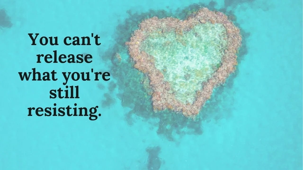 The Neuroscience of Letting Go: Why Gratitude Is Your Nervous System's Release Valve