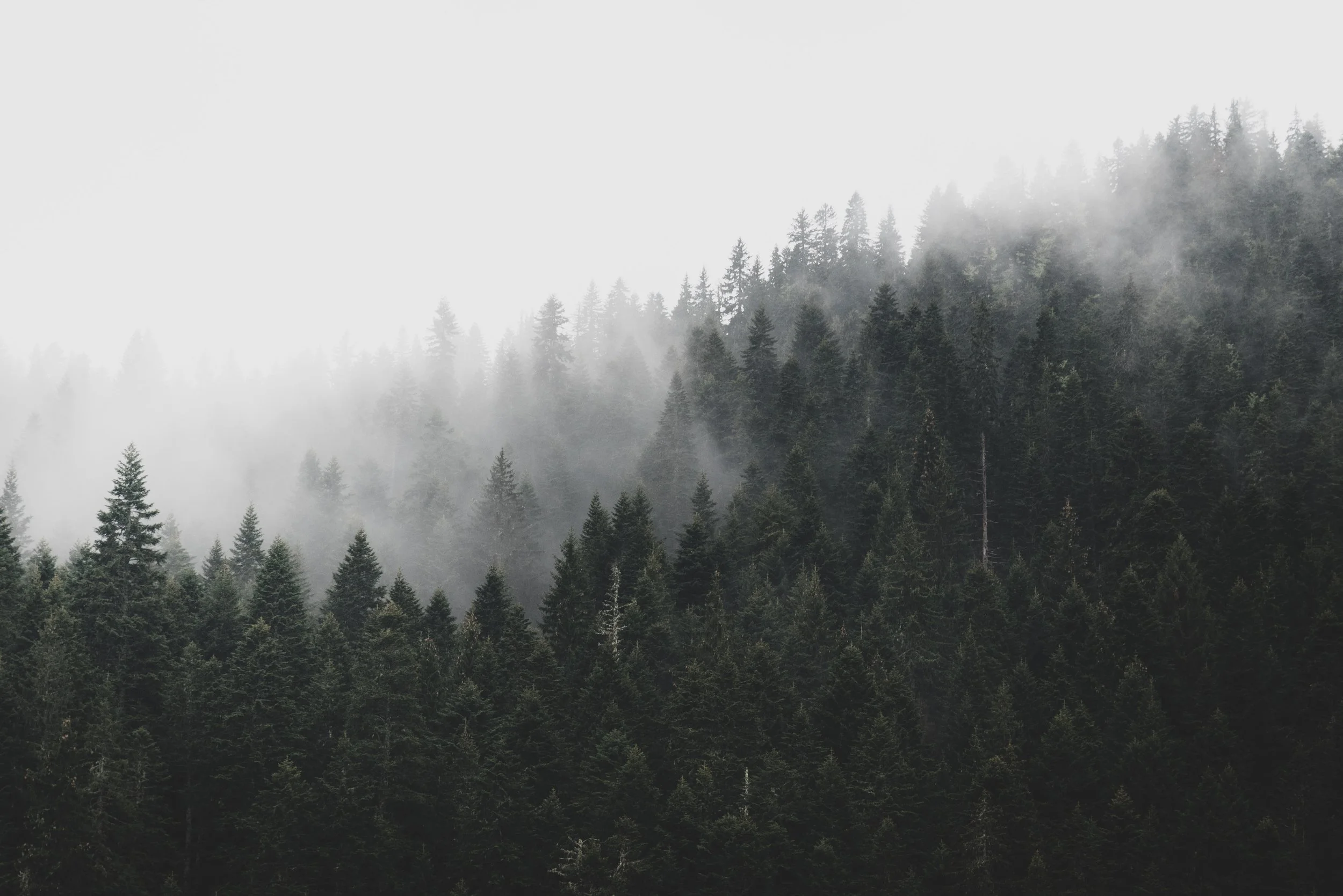 Sustainability narrative