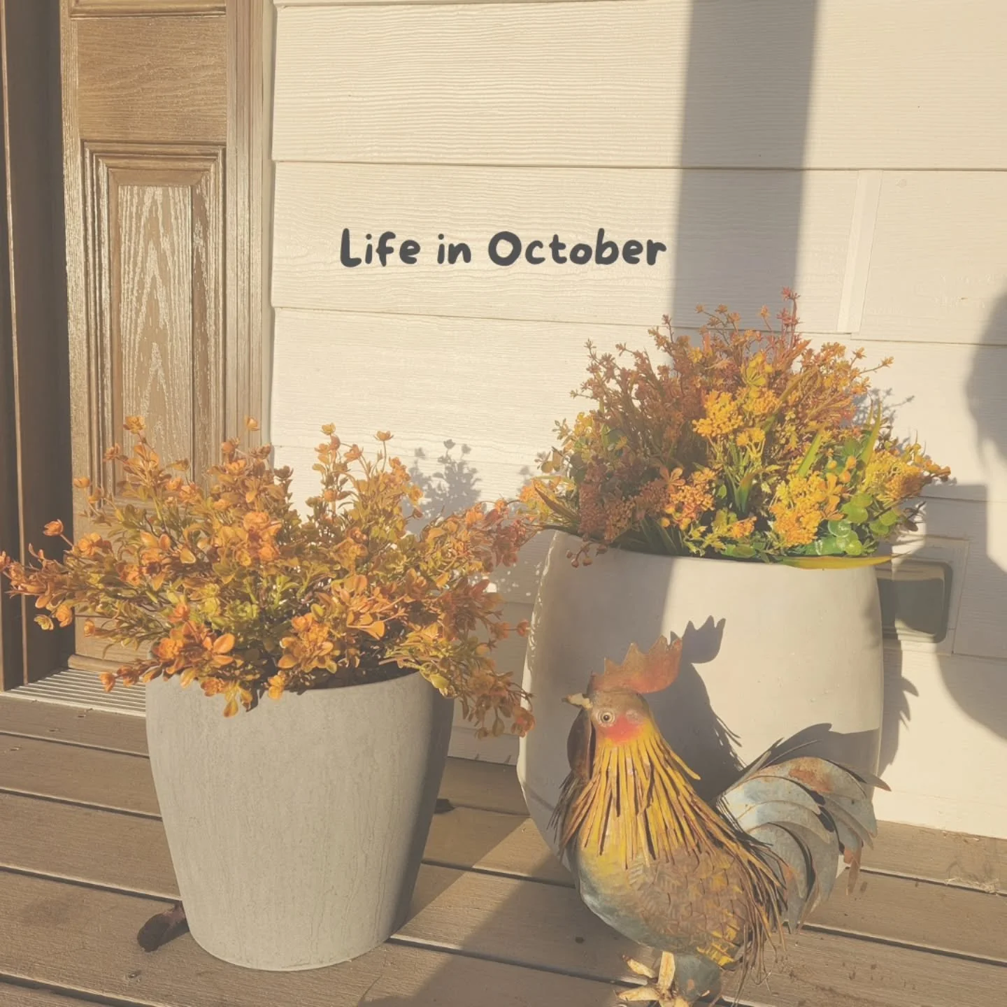 Recap of October in stills. It was a good month with a stupid amount of productivity and also some forward momentum for this little business. Excited to see whats to come! 😊