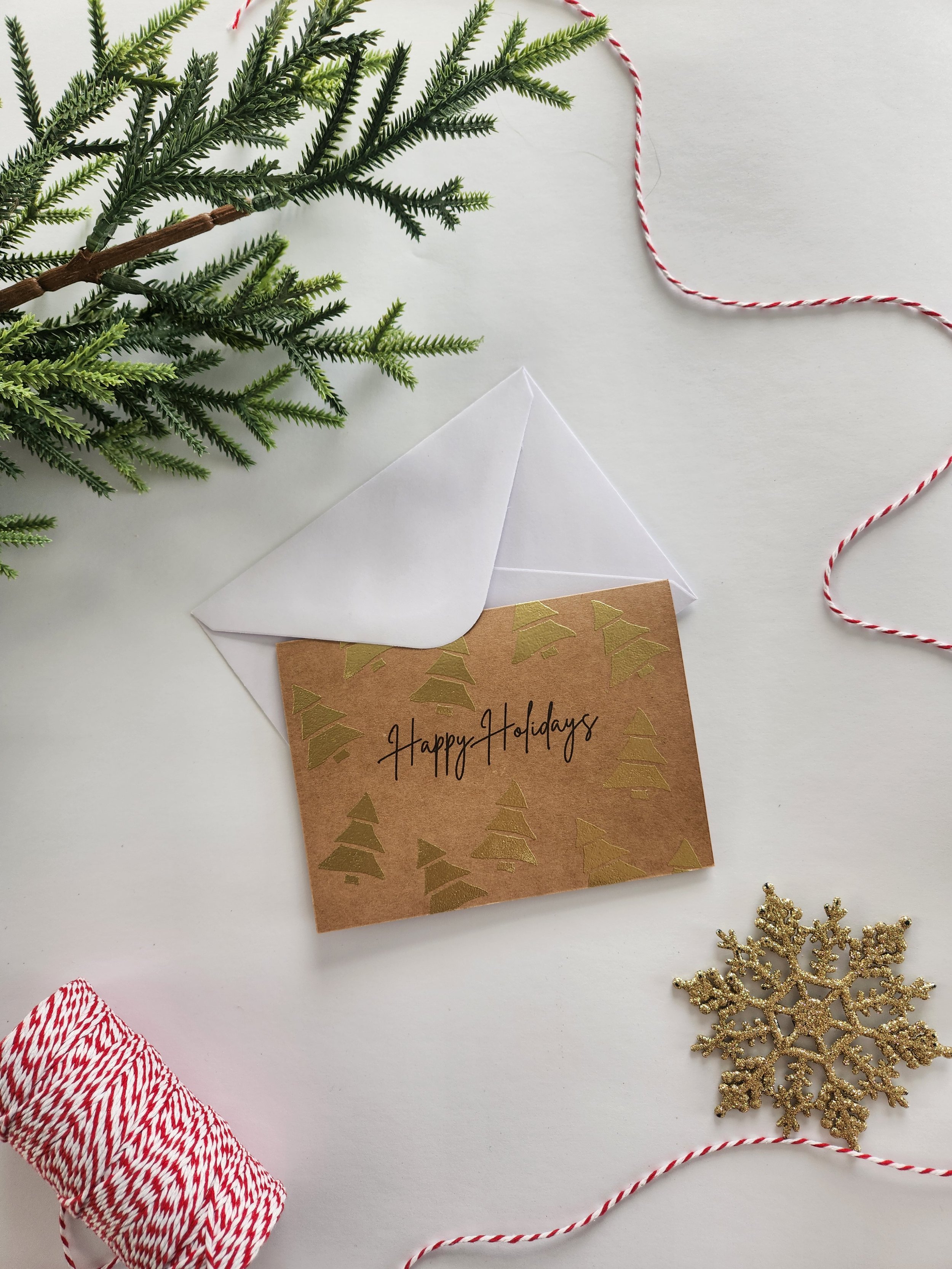 20251113_081007.jpg (Copy)