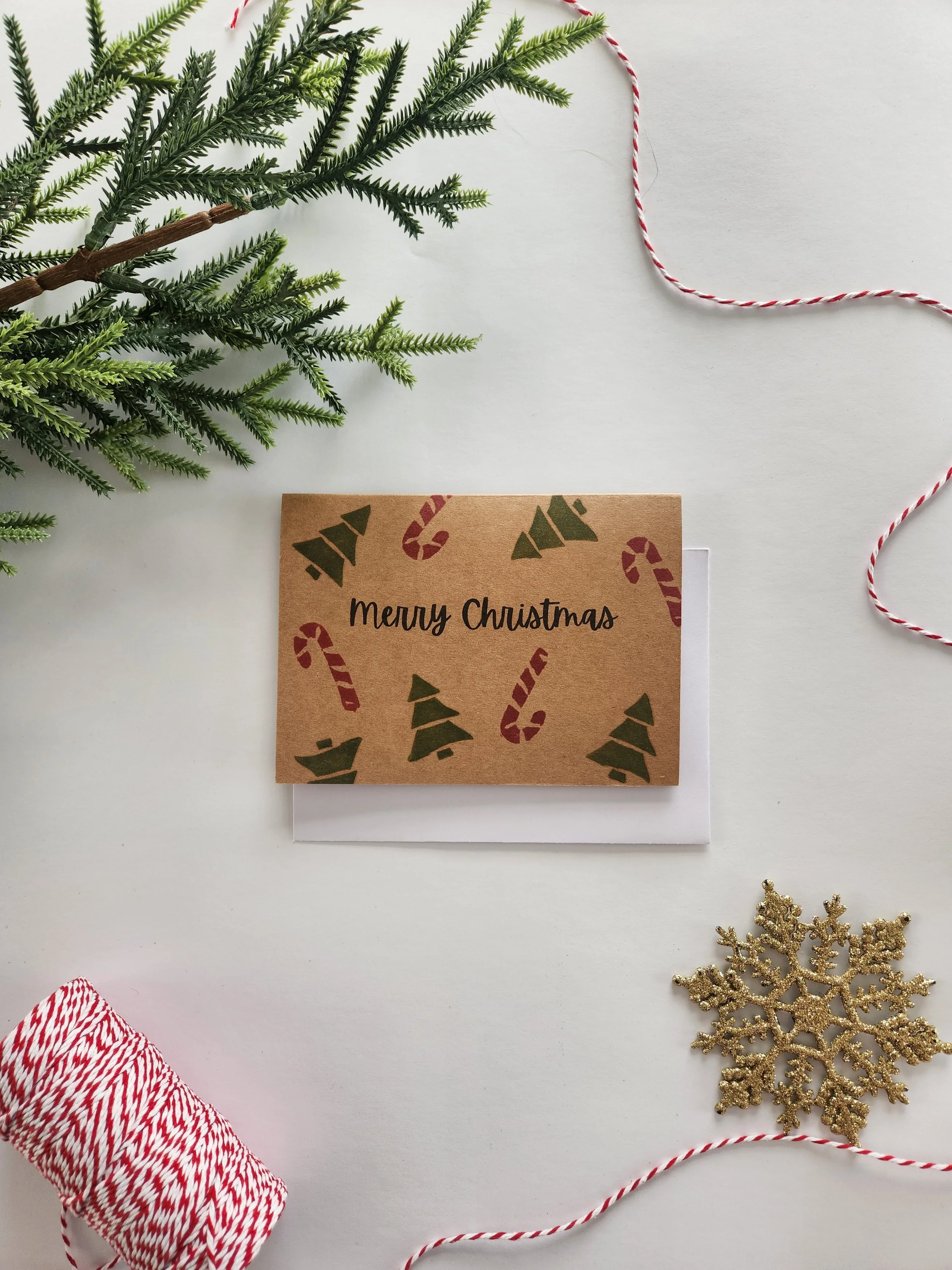 20251113_081114.jpg (Copy)