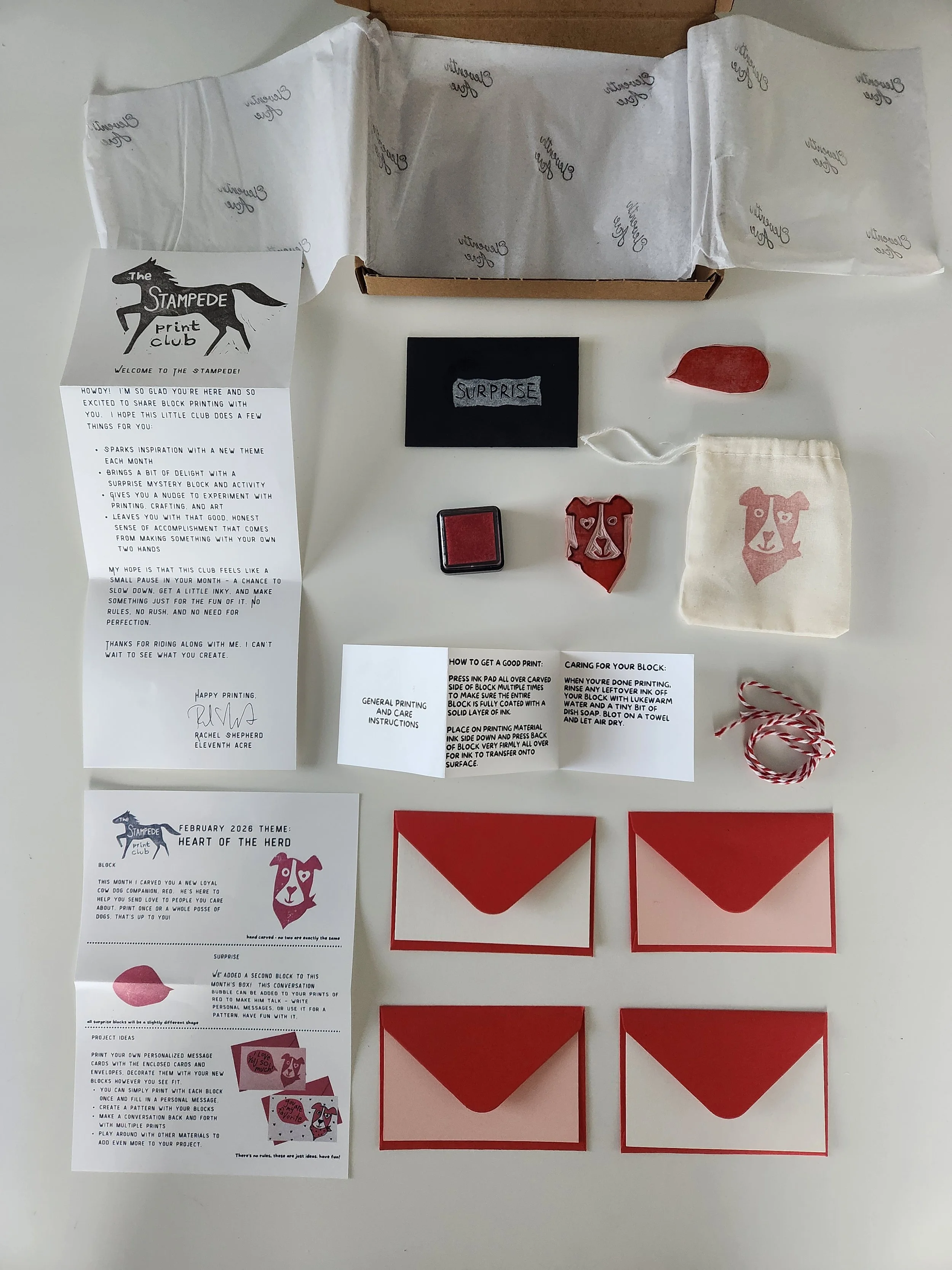 February Print Club Box (no subscription)