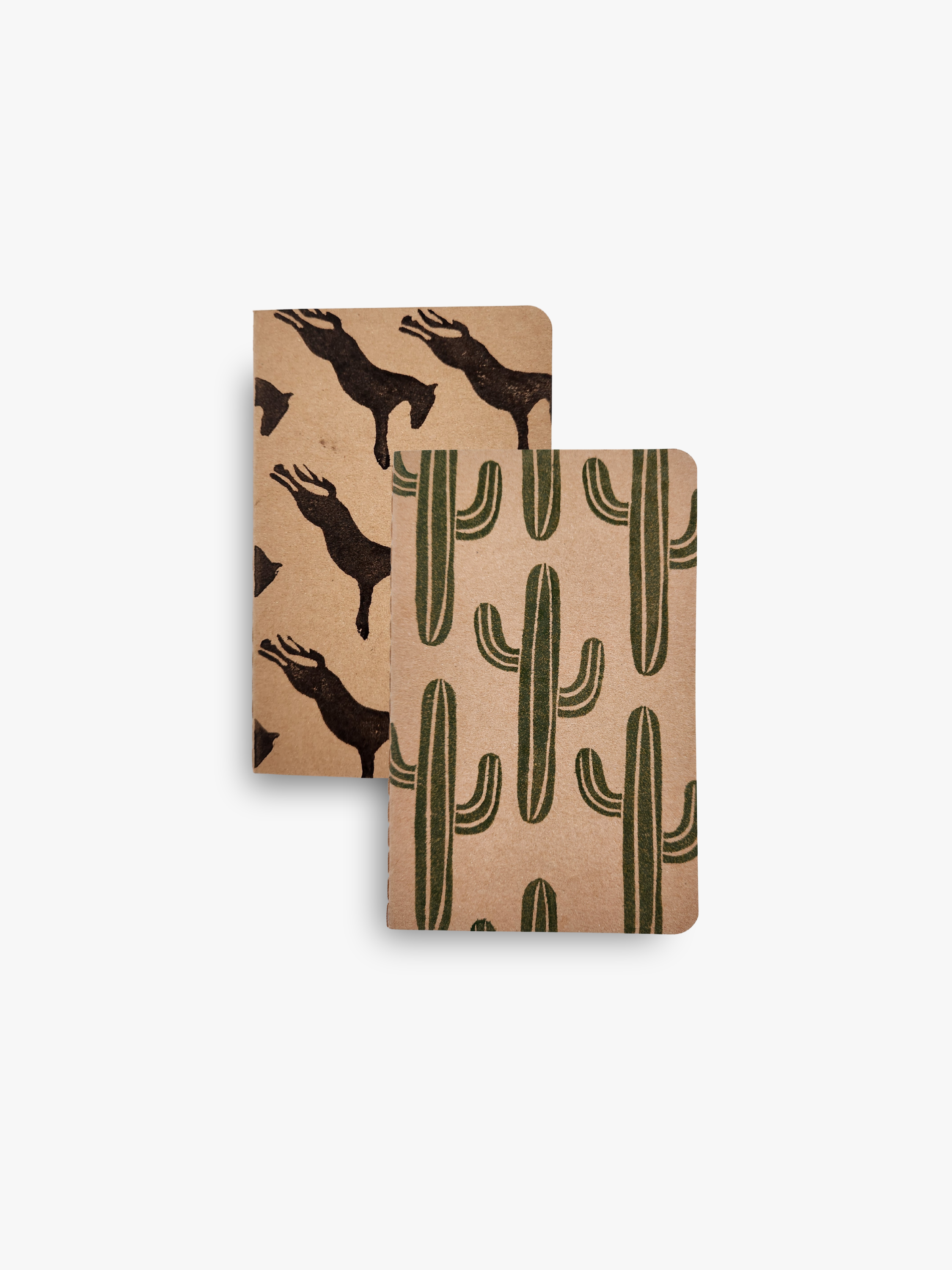 Horses & Cactus Sketchbook Set