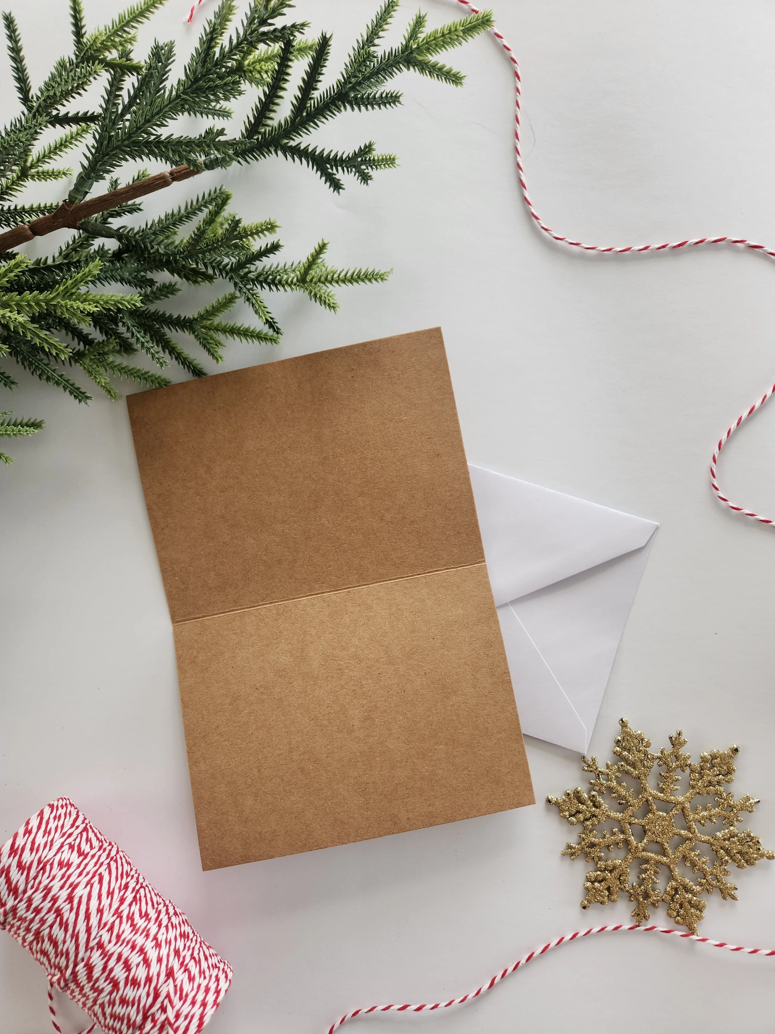 20251113_081310.jpg (Copy)