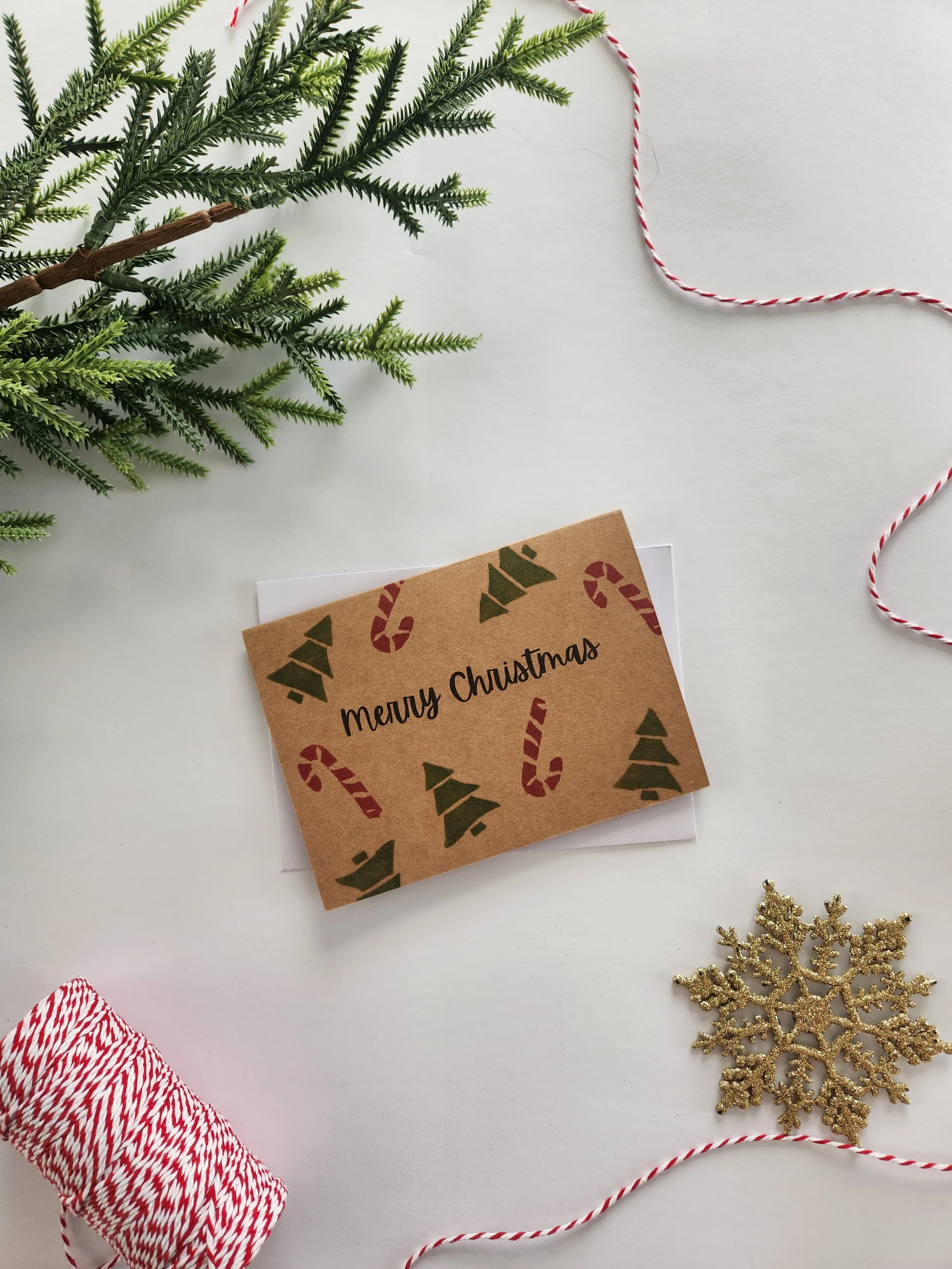 20251113_081126.jpg (Copy)