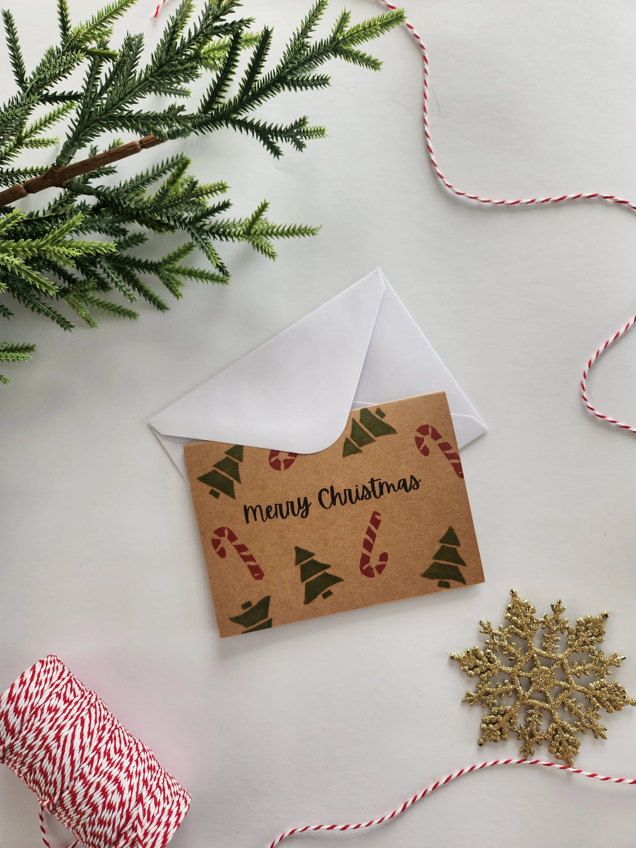 20251113_081133.jpg (Copy)