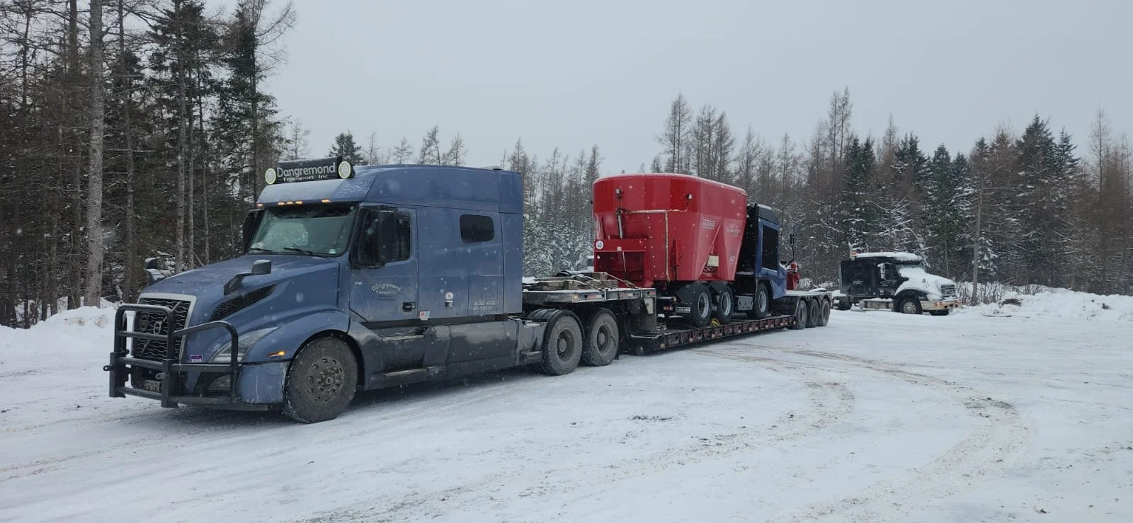 Snowy Dangremond yard