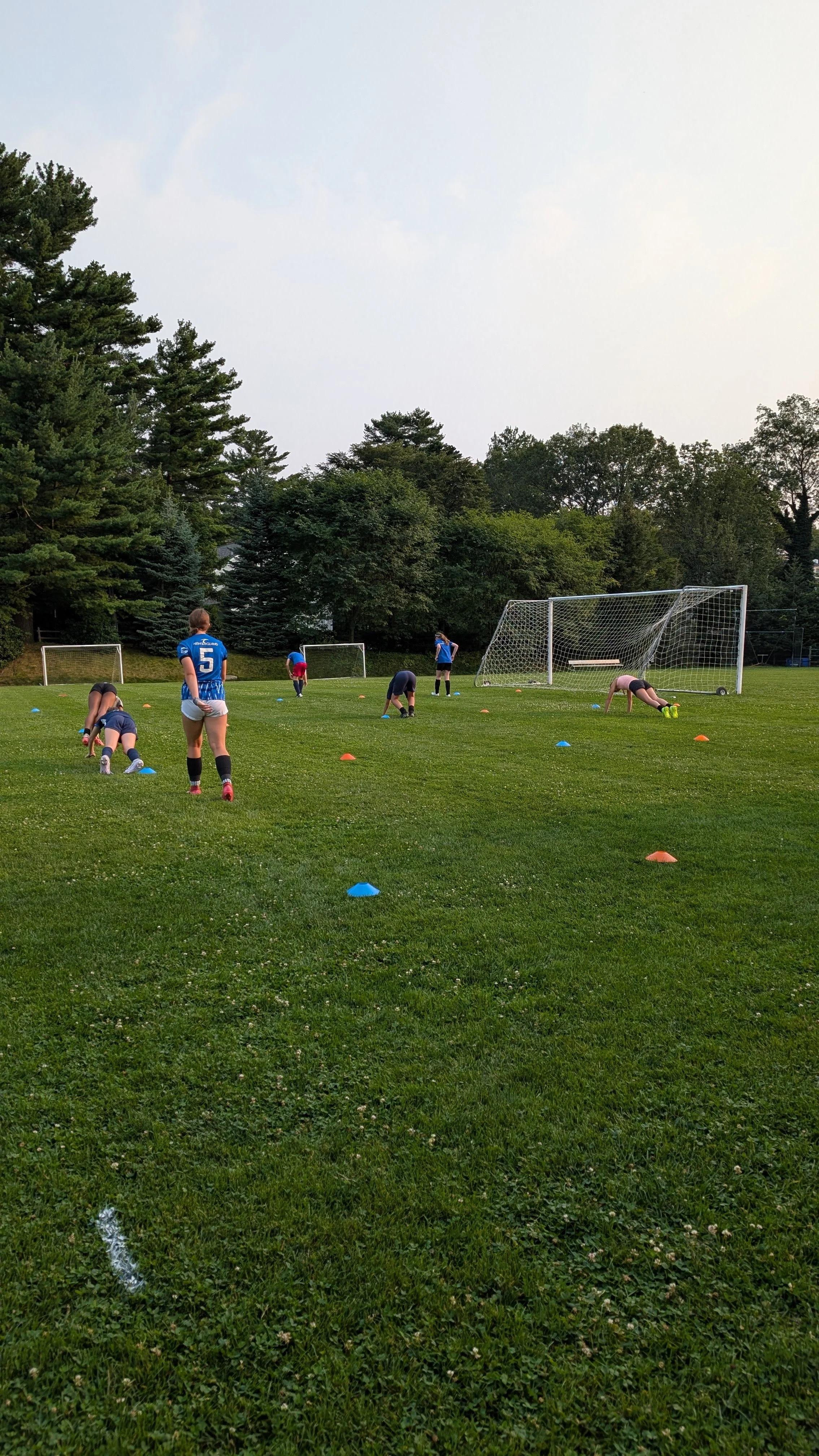 Children practicing soccer drills on a grassy field with small goals and colorful cones, surrounded by trees.