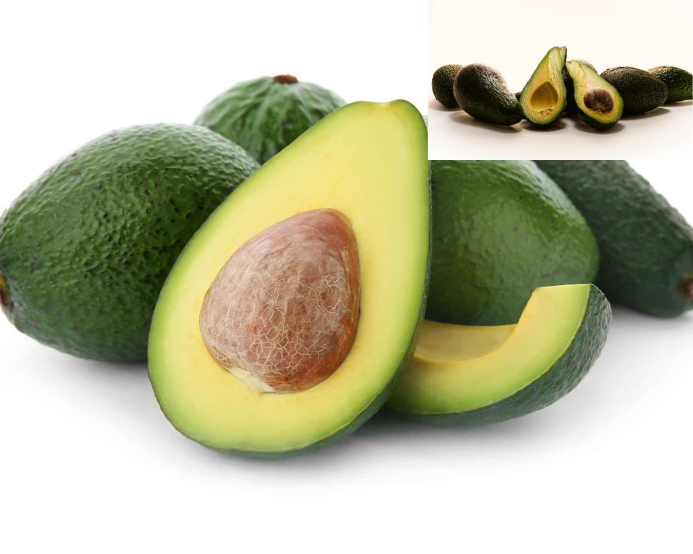 Avocado