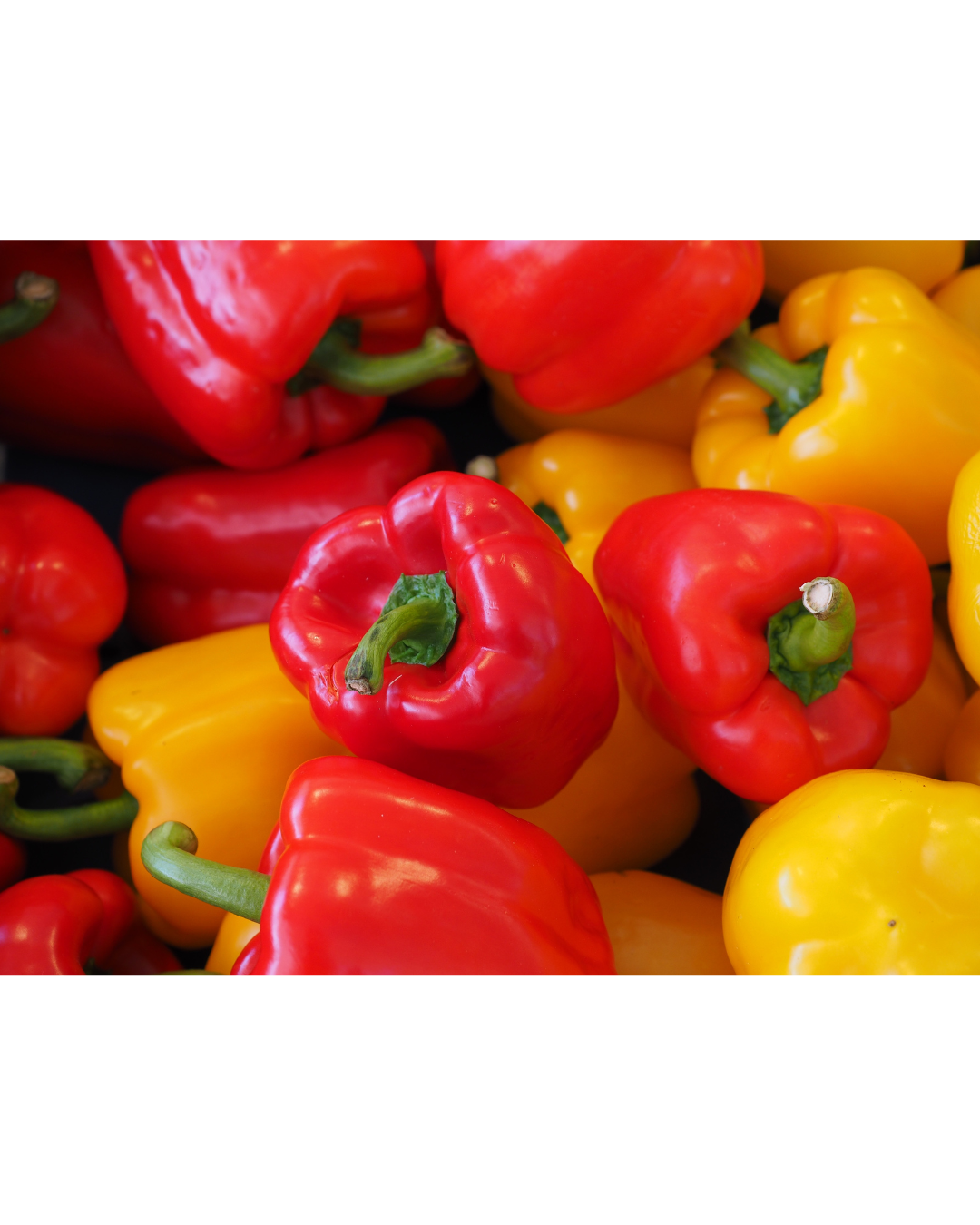 Peppers
