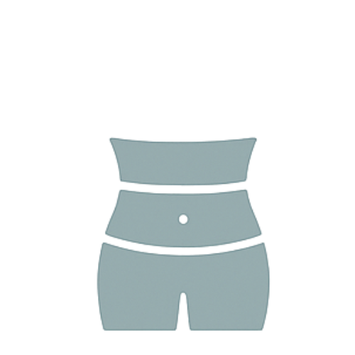 A computer-generated image of a human torso with no head or limbs, showing the chest and abdomen area.