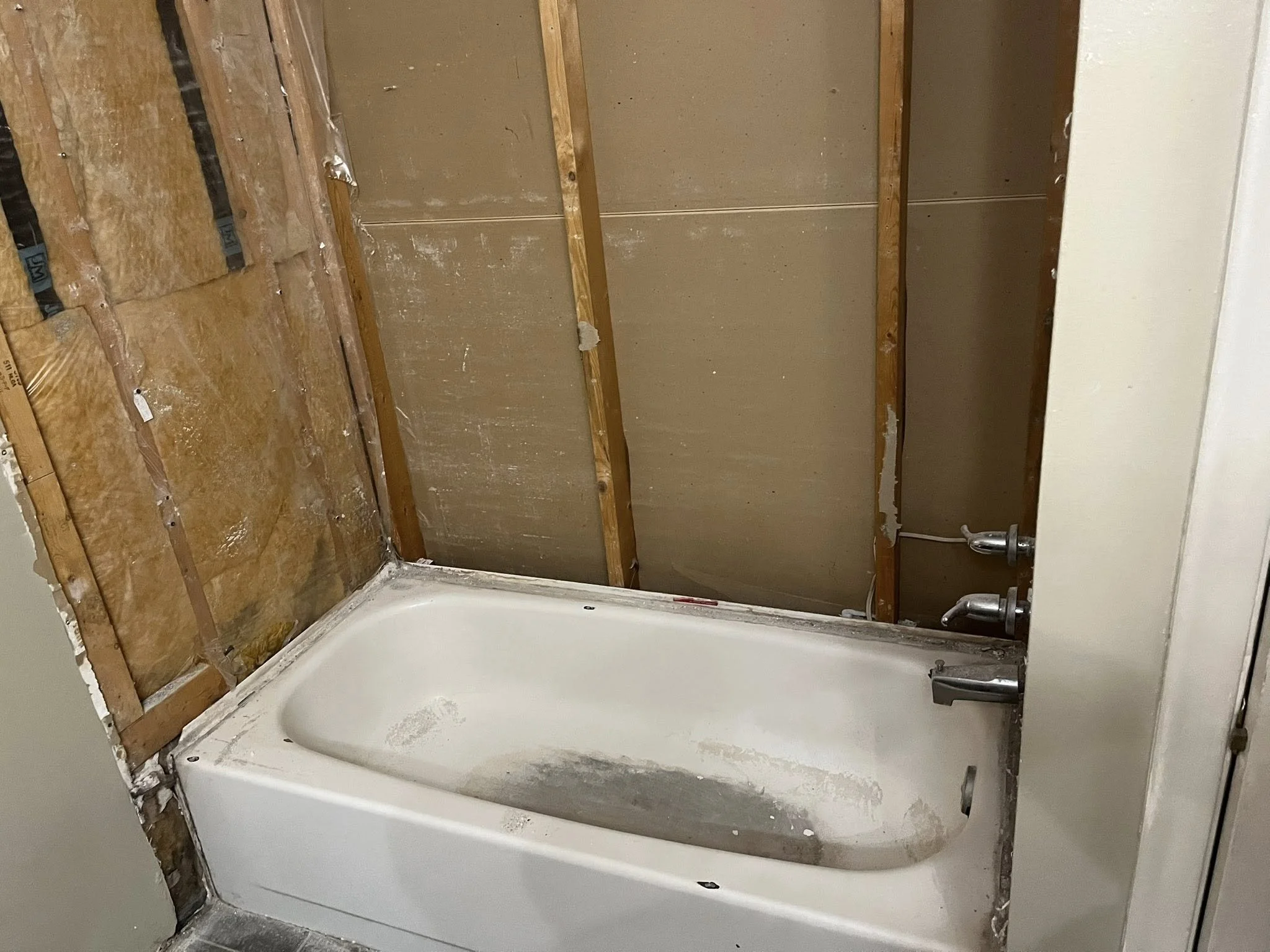 Tub to shower Transition 1.jpg
