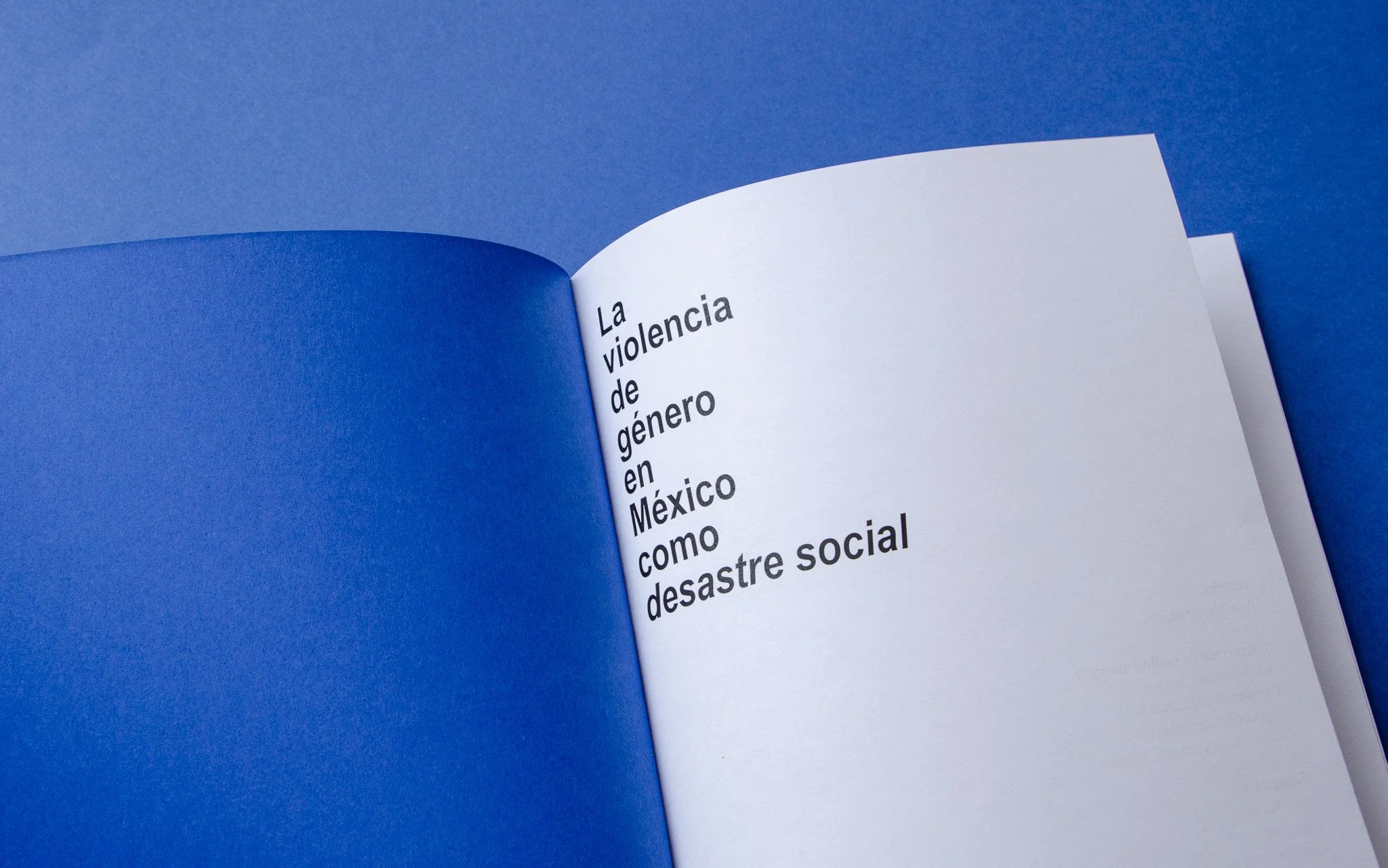 PT_RegistroFotografico_02.jpg