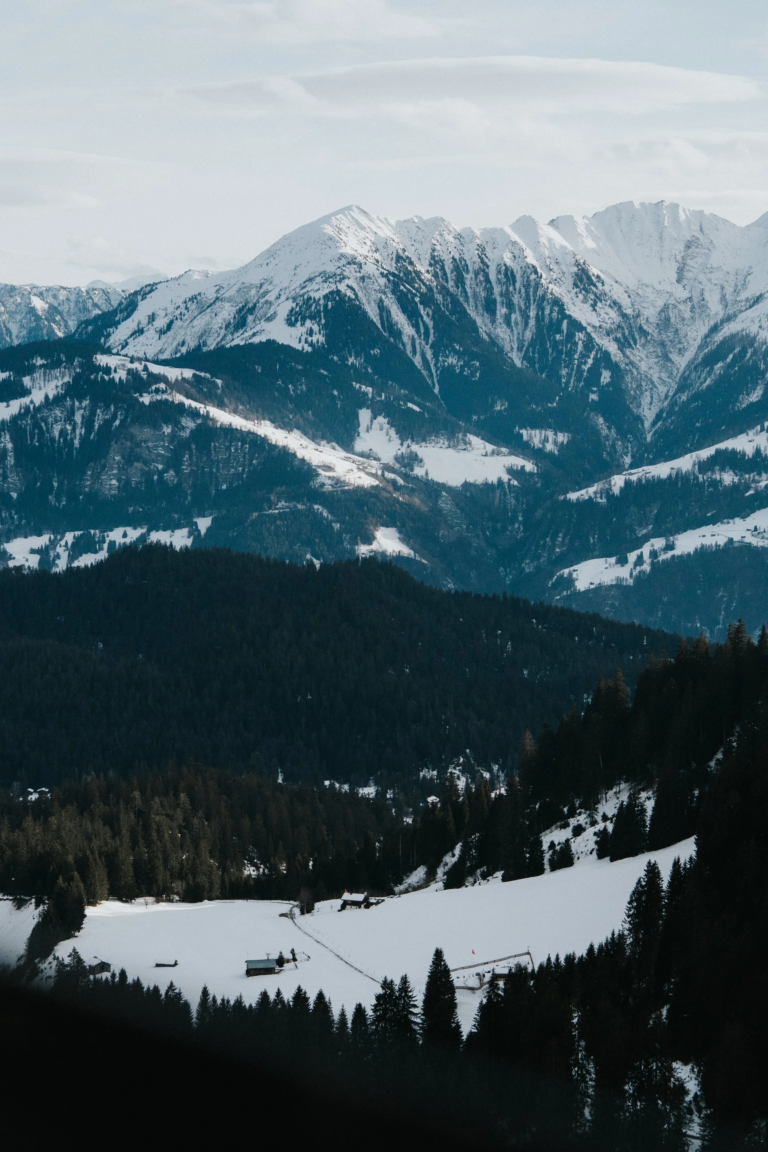 LAAX 2026-04.jpg