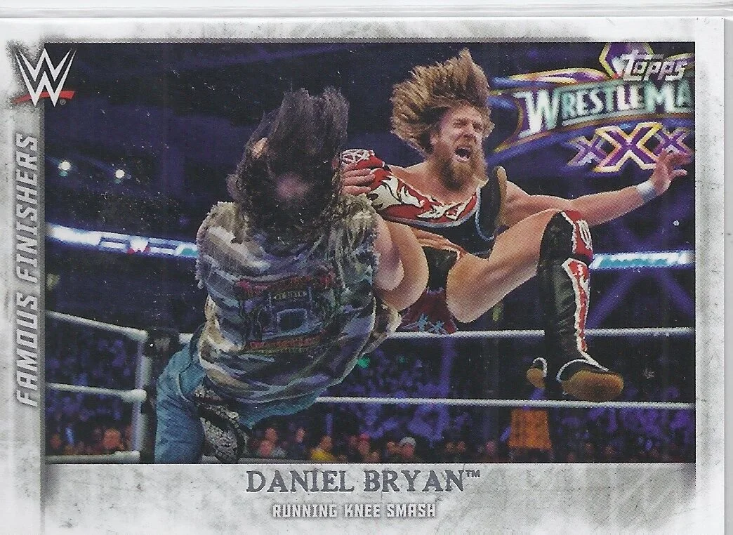 WWE2015UFF09_2015_topps_wwe_undisputed_famous_finishers_daniel_bryan_FF17.jpg